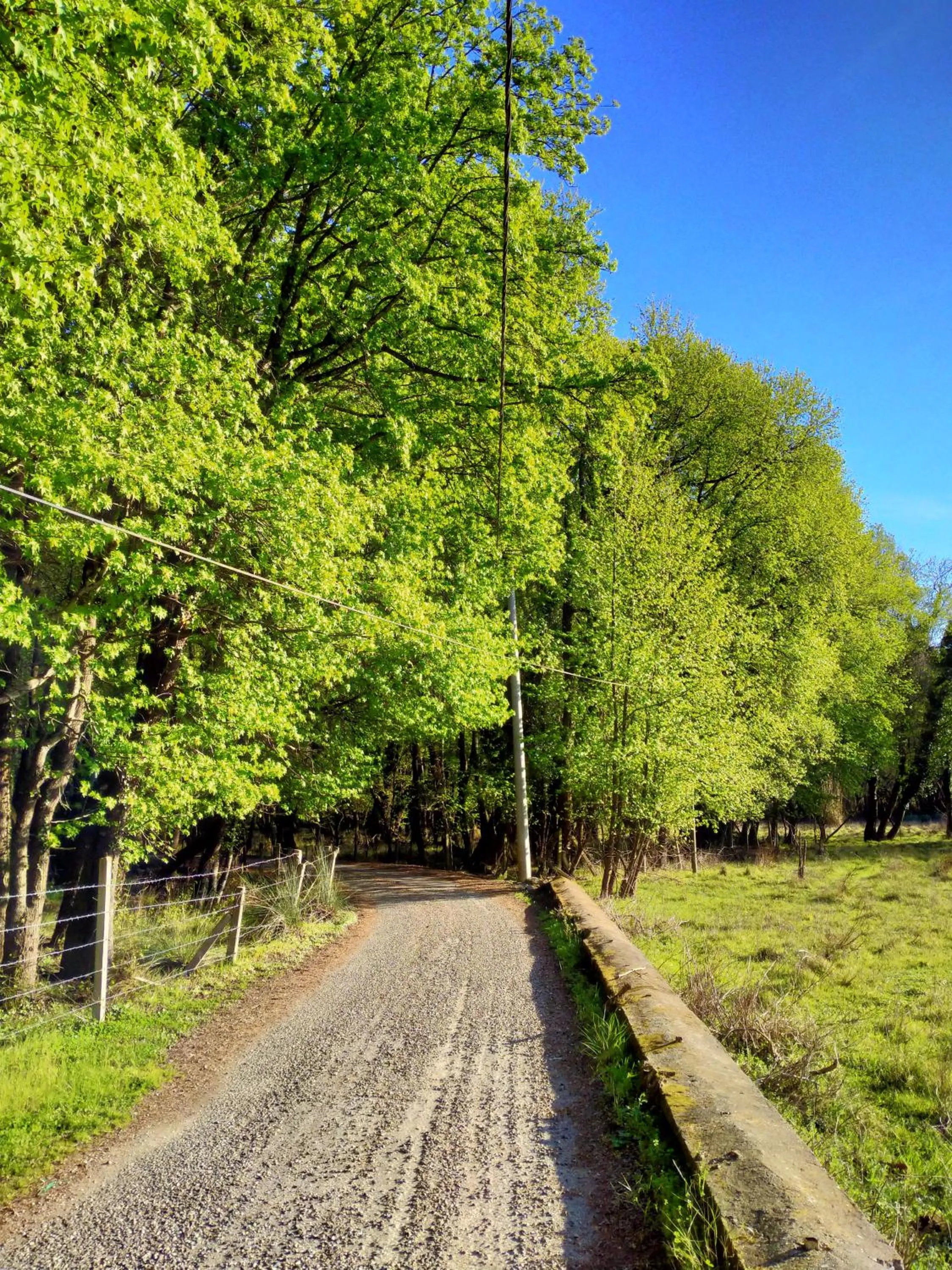 Spring in AdaHan Family Rooms Gocek