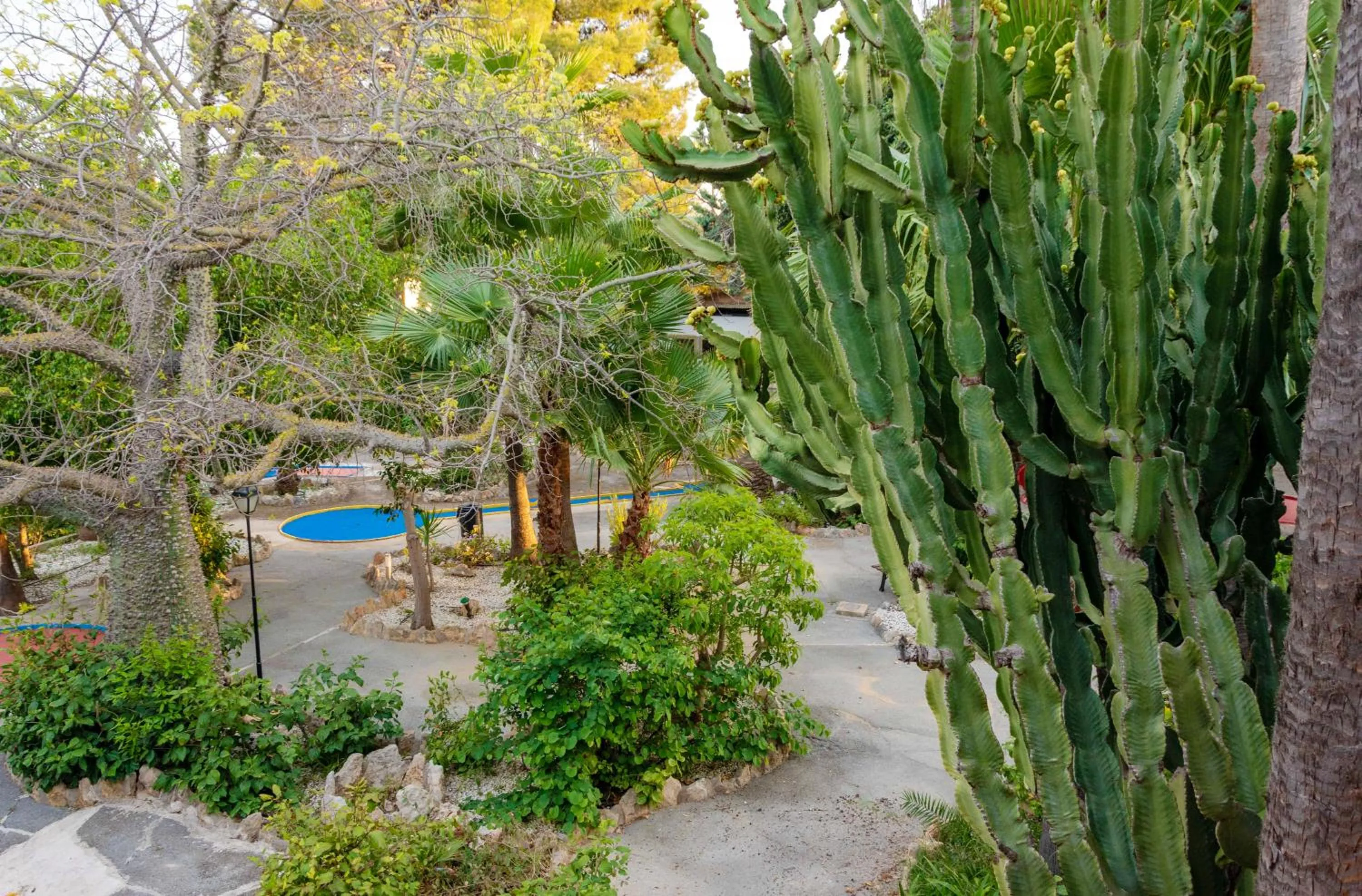 Spring in APARTAMENTOS PALASIET