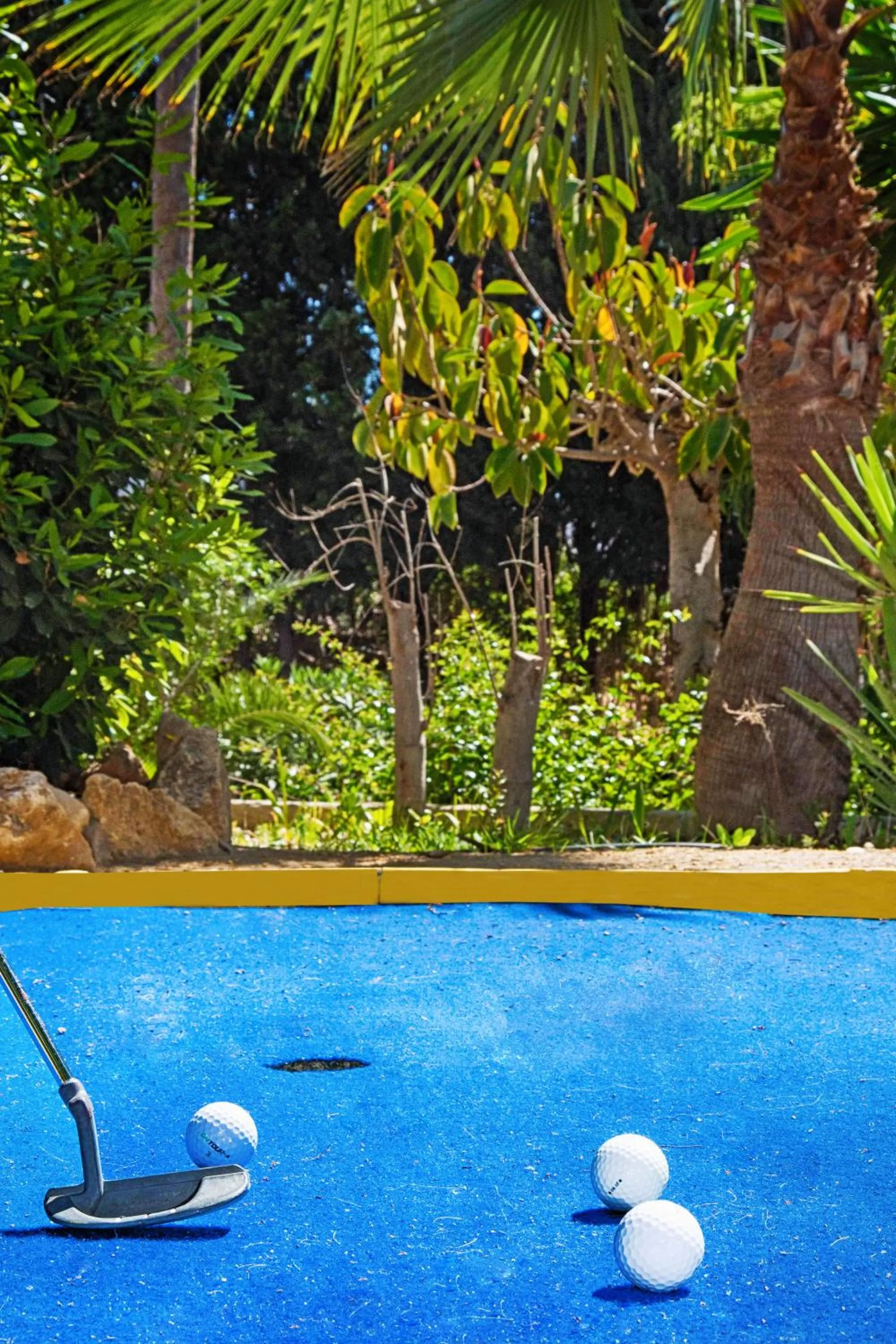 Day in APARTAMENTOS PALASIET