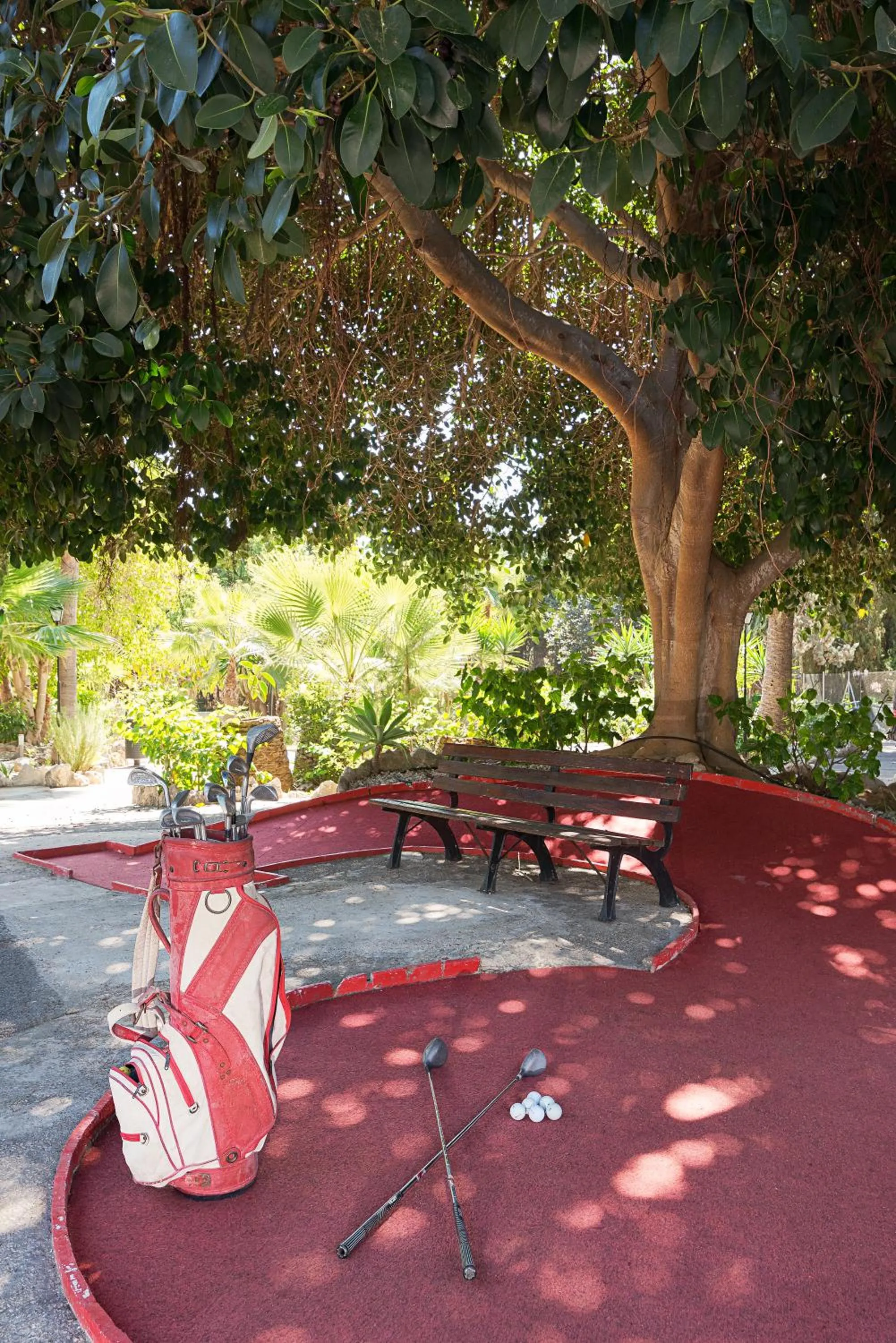 Day in APARTAMENTOS PALASIET