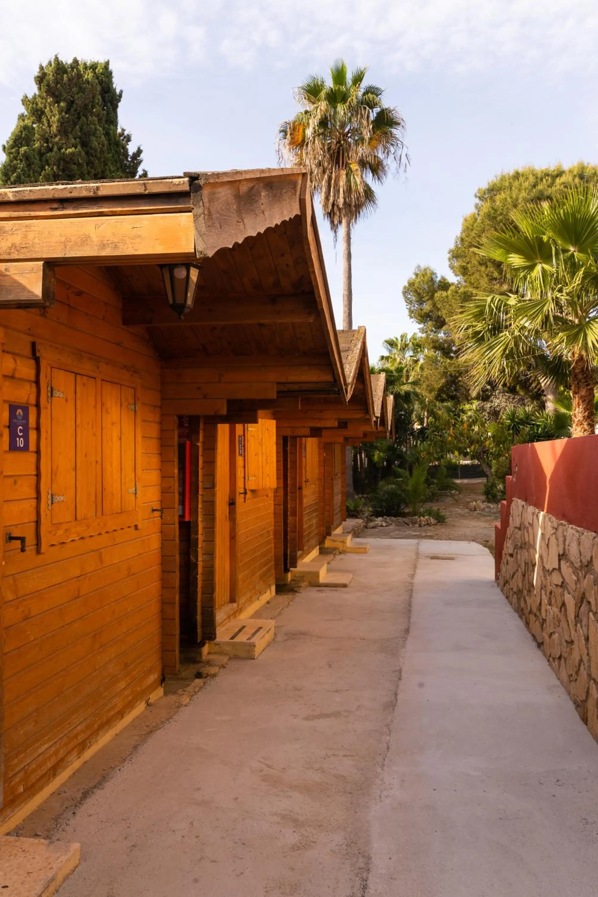 Property building in APARTAMENTOS PALASIET