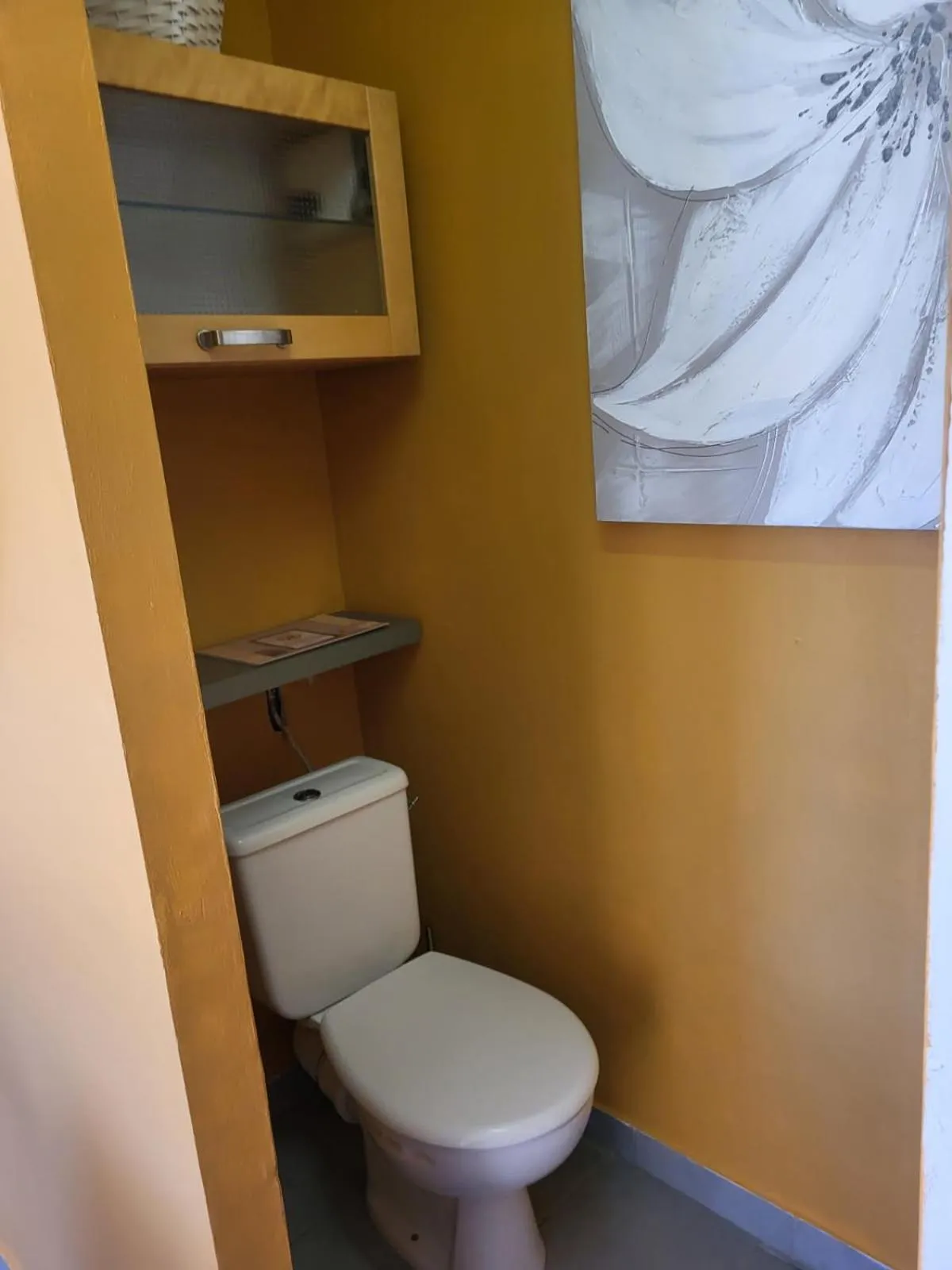 La Salamandre de Camargue