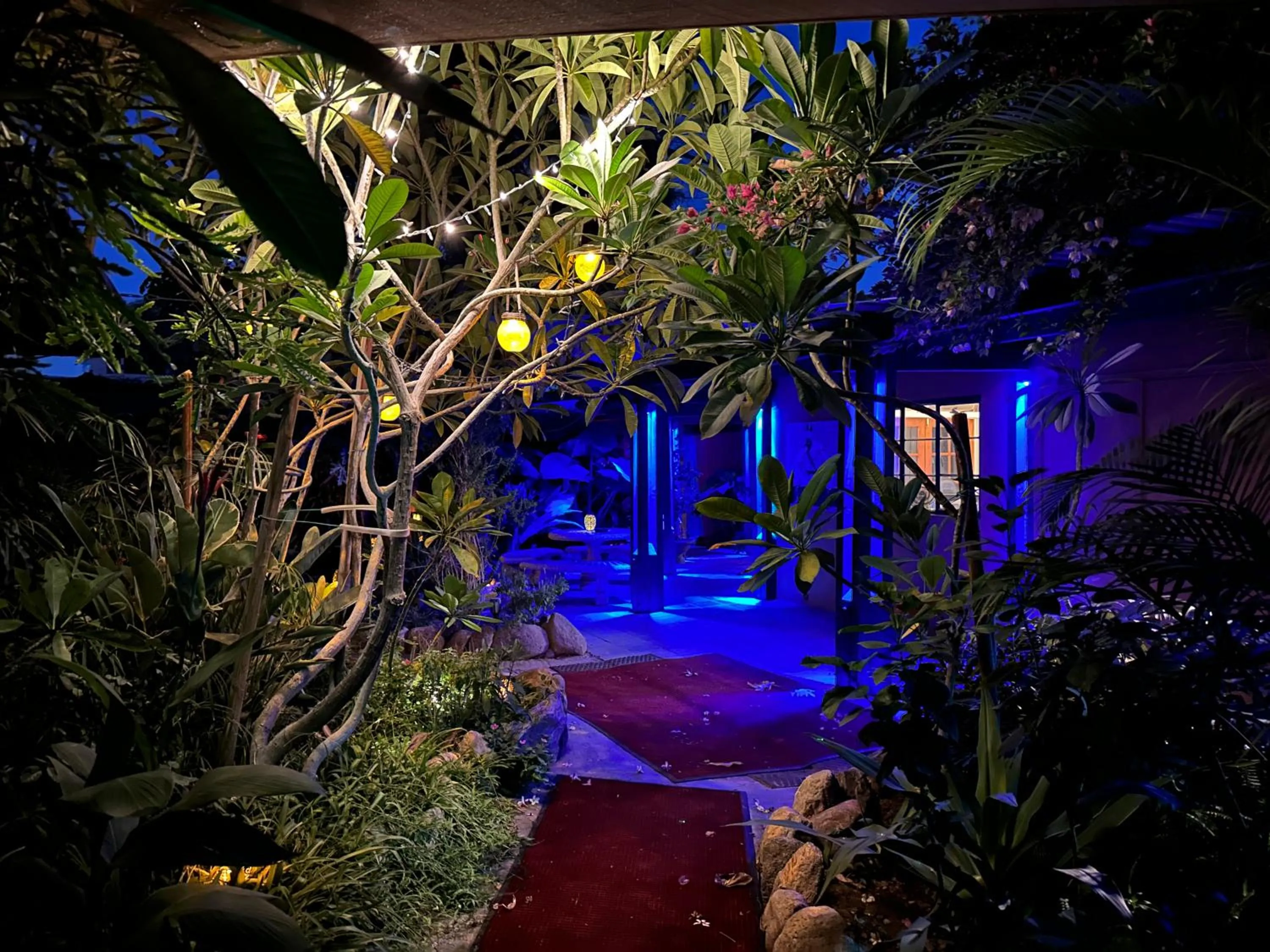 Vista Grande Resort - A Gay Men's Resort