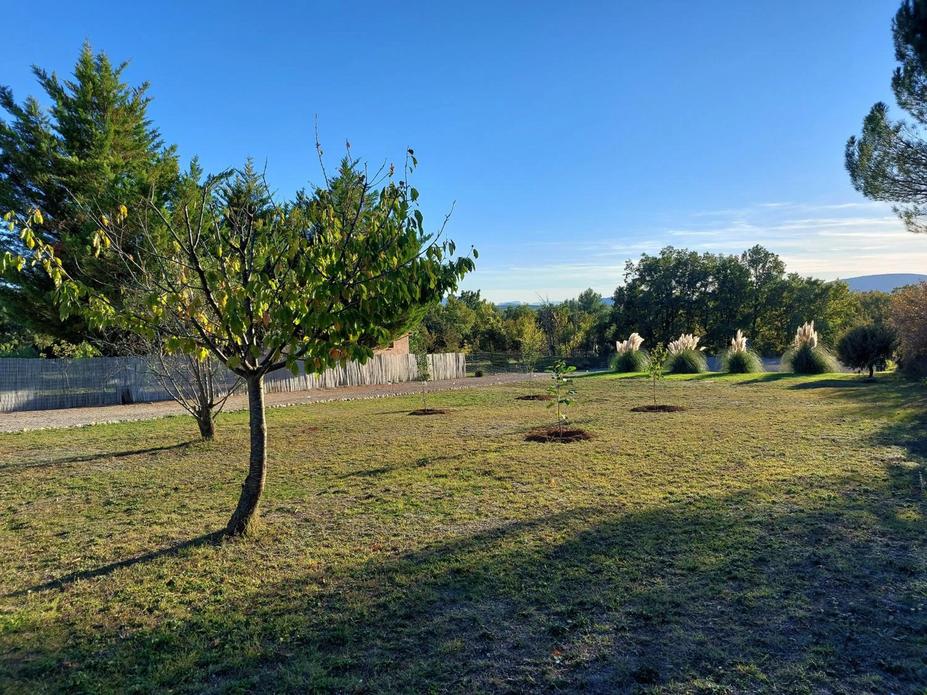 Garden in Rêve du VerDHon