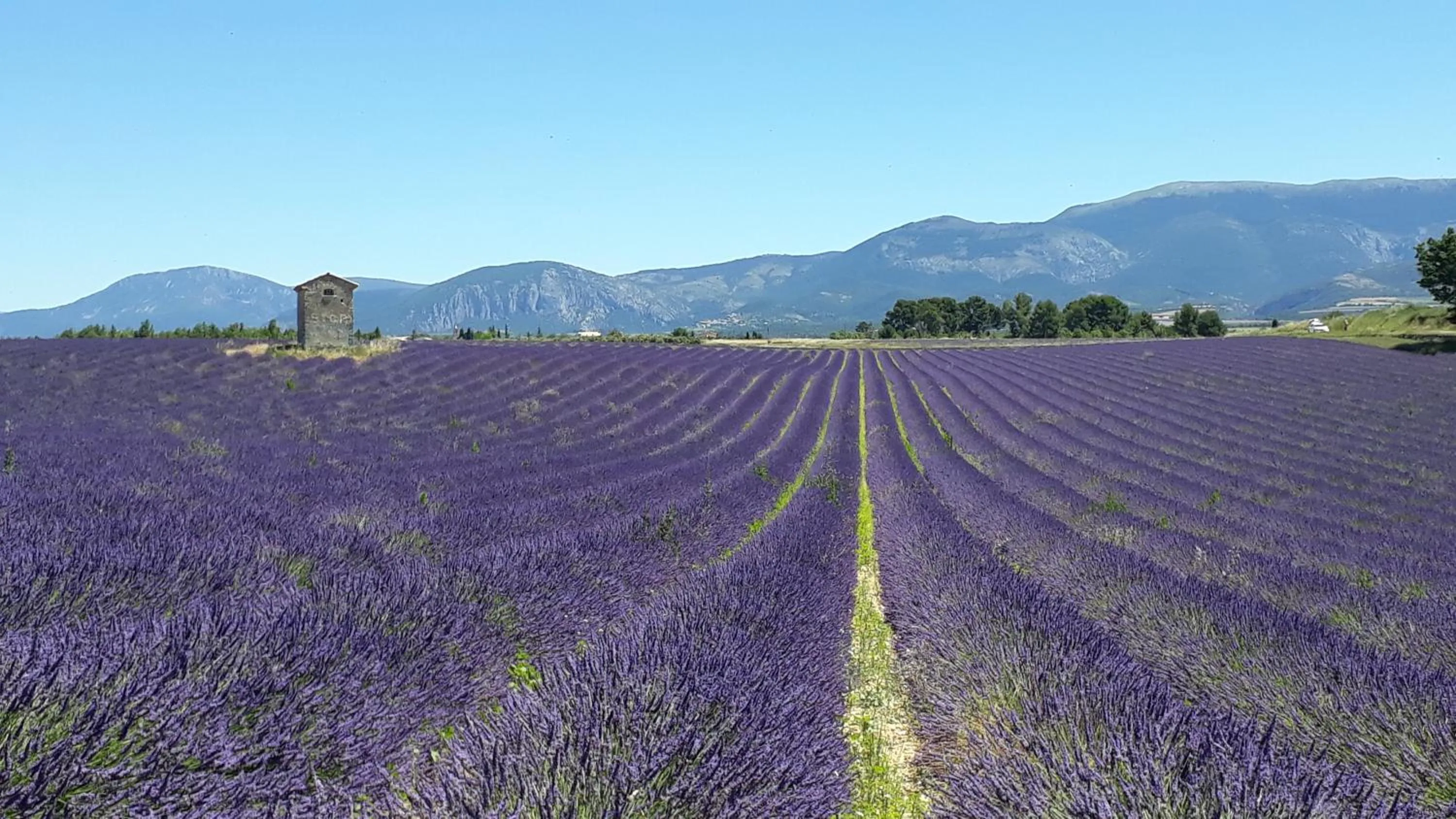 Neighbourhood in Rêve du VerDHon