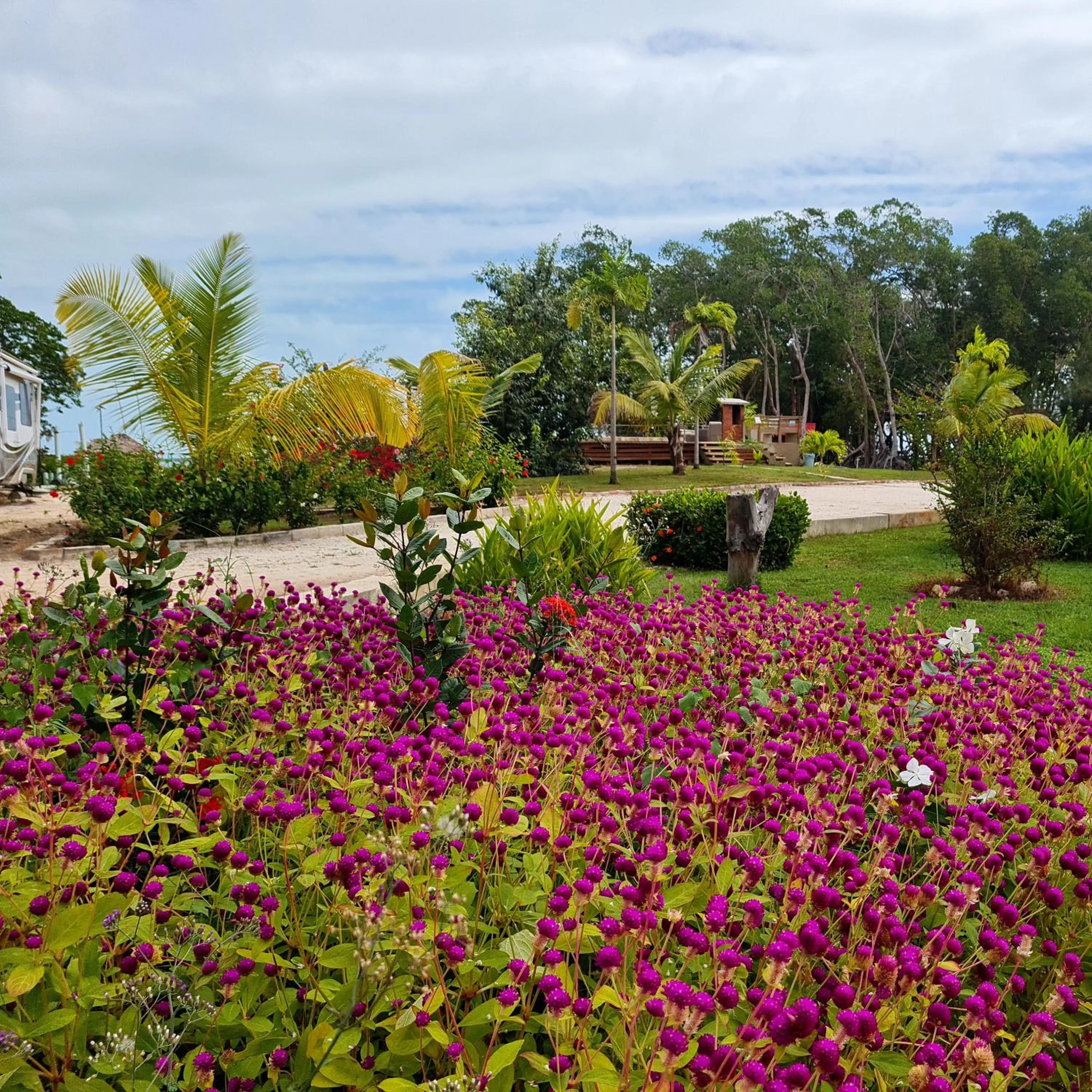 Garden view in Seaside Chateau Resort