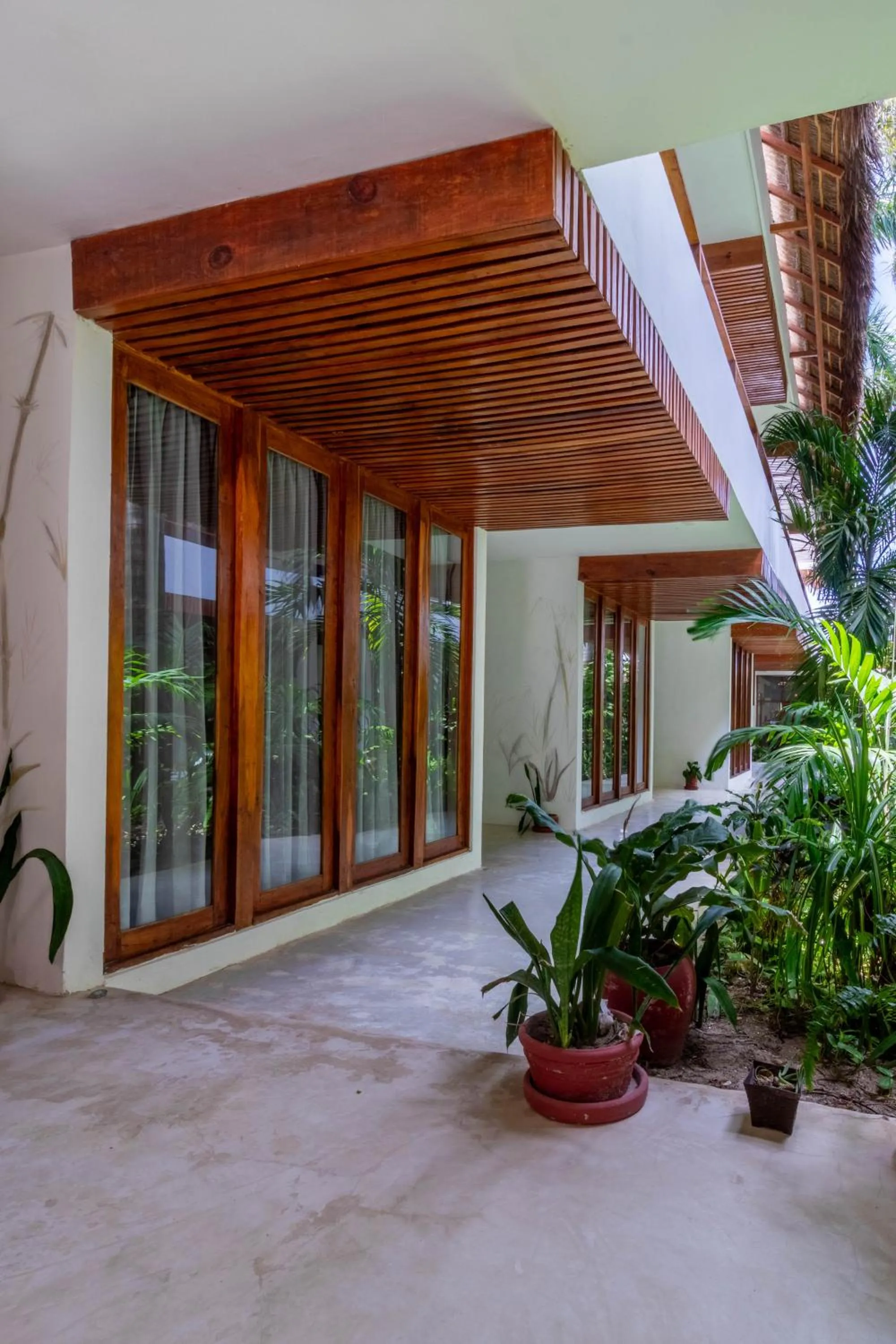Garden in Hotel Casa Lumini Holbox