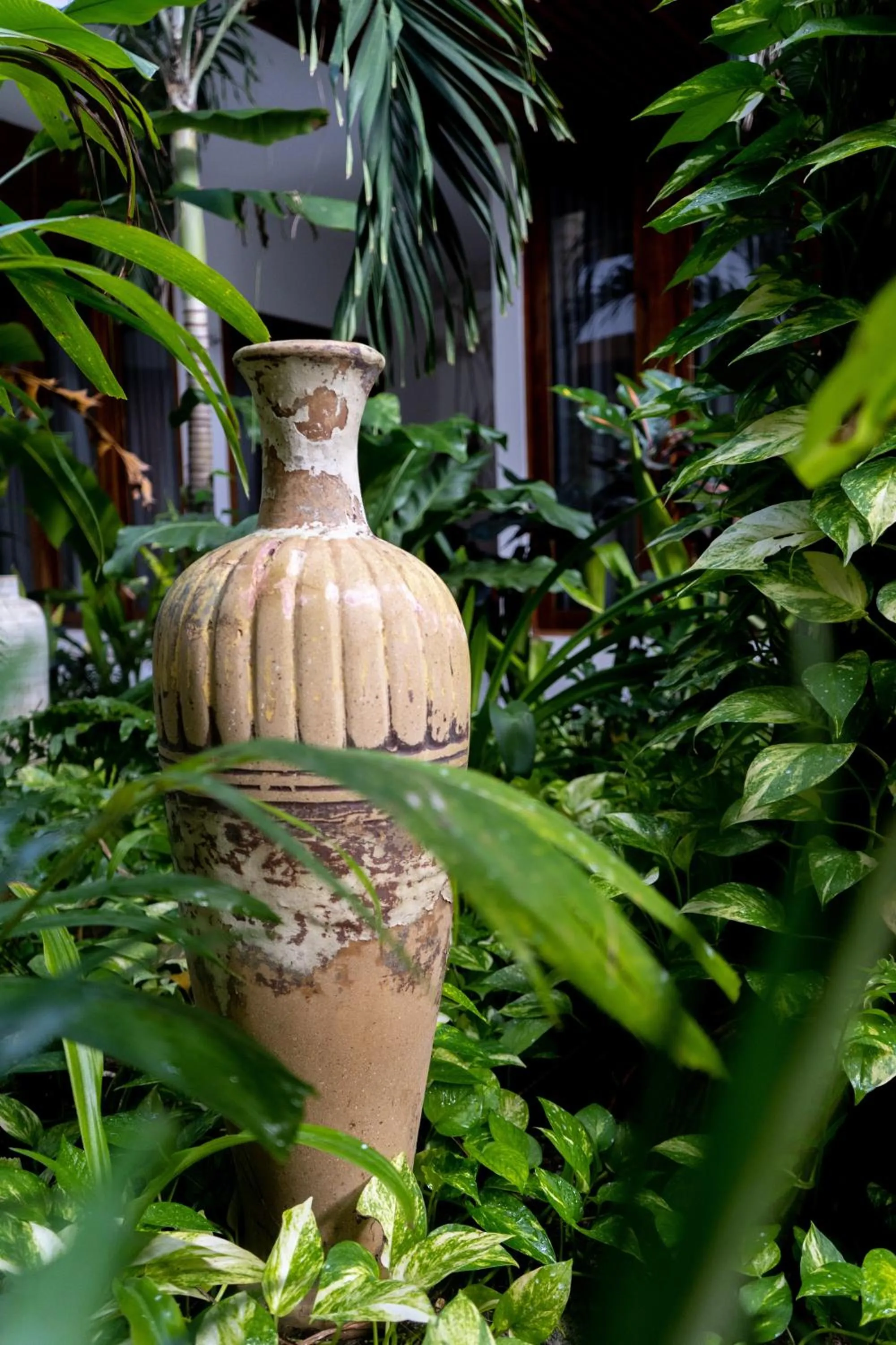 Property building in Hotel Casa Lumini Holbox