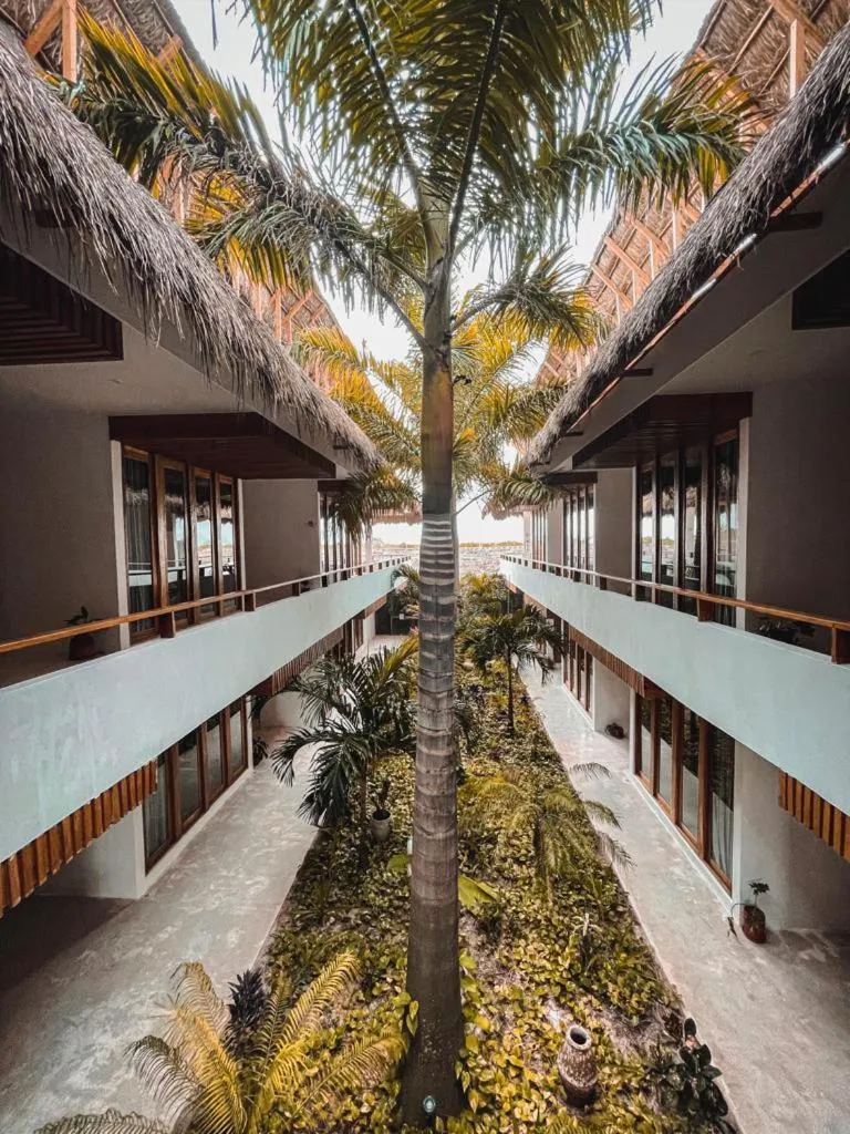 Garden in Hotel Casa Lumini Holbox