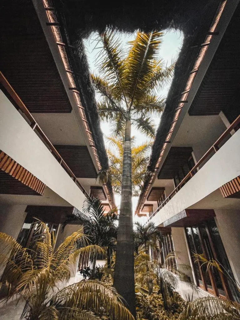 Garden in Hotel Casa Lumini Holbox