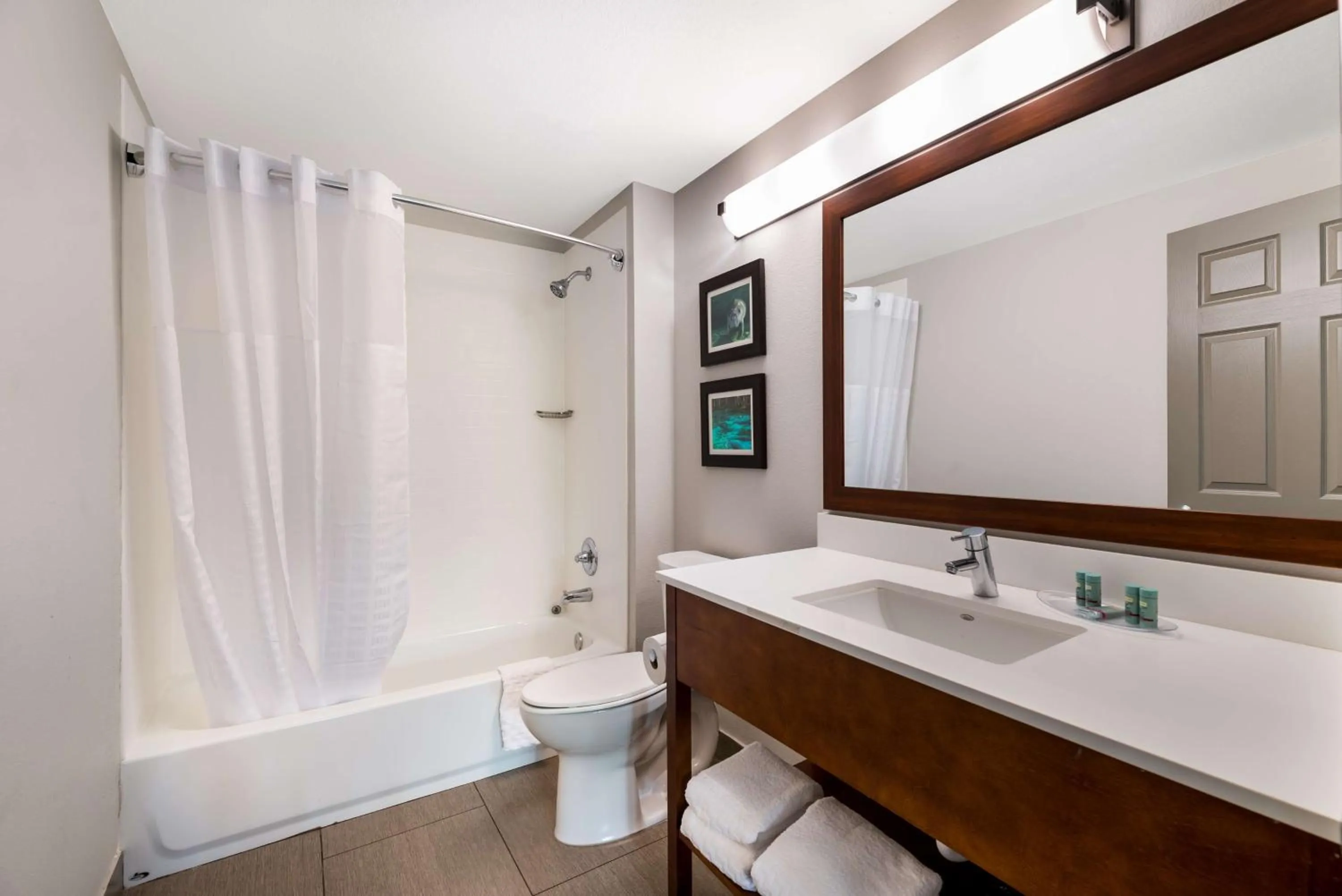 Bathroom in SureStay Plus Hotel by Best Western The Villages
