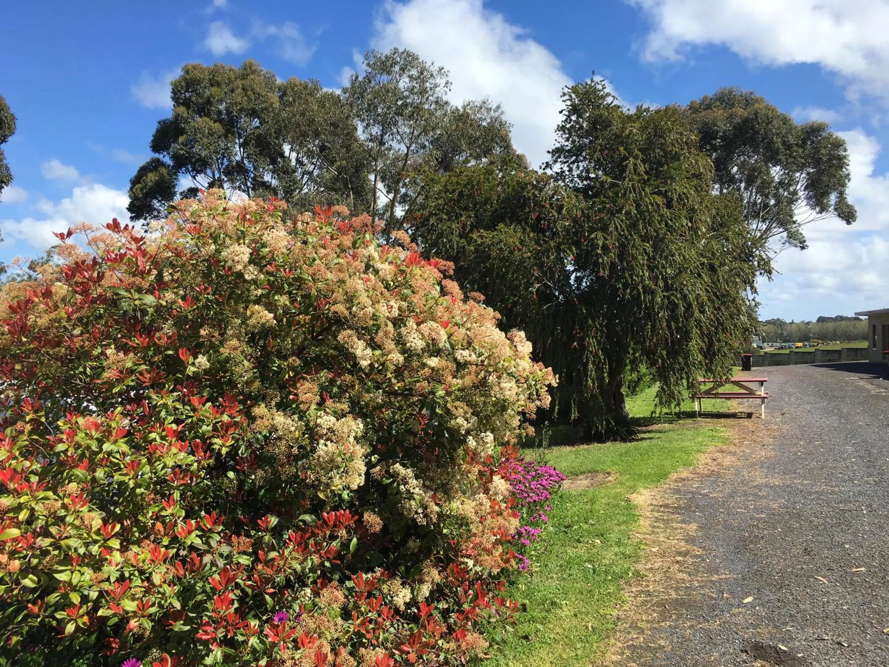 Limestone Coast Tourist Park