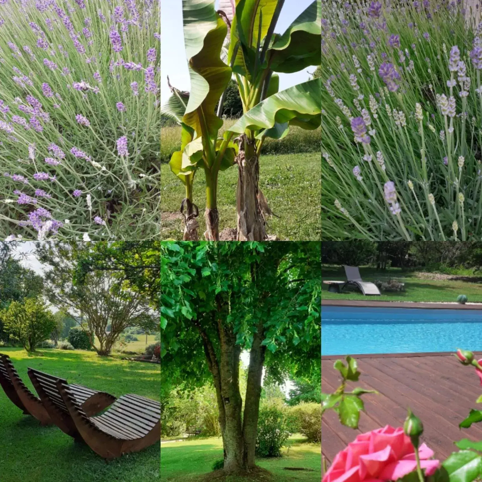 Double Room with Private Bathroom in Douvilla Double Room with Private Bathroom in Douvilla