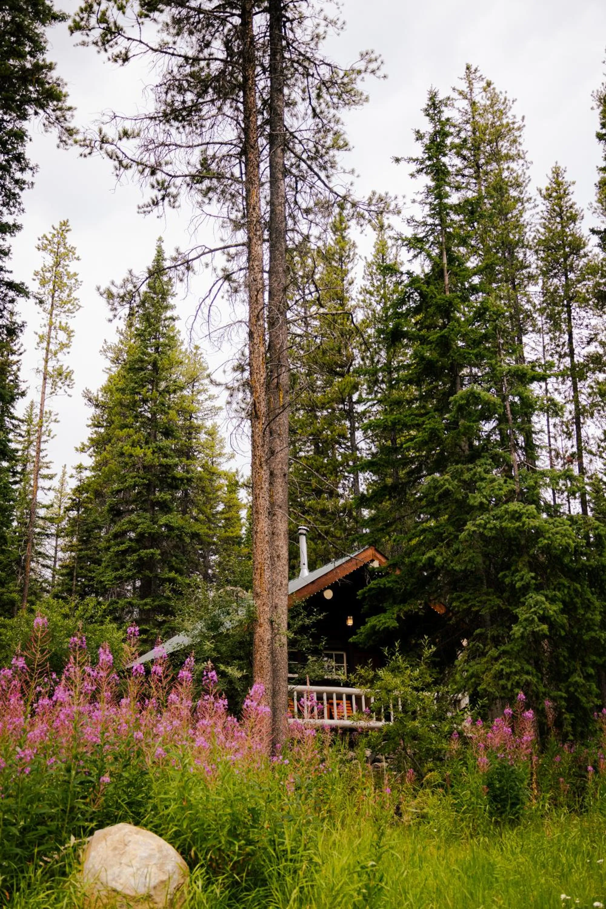 View (from property/room) in Storm Mountain Lodge & Cabins