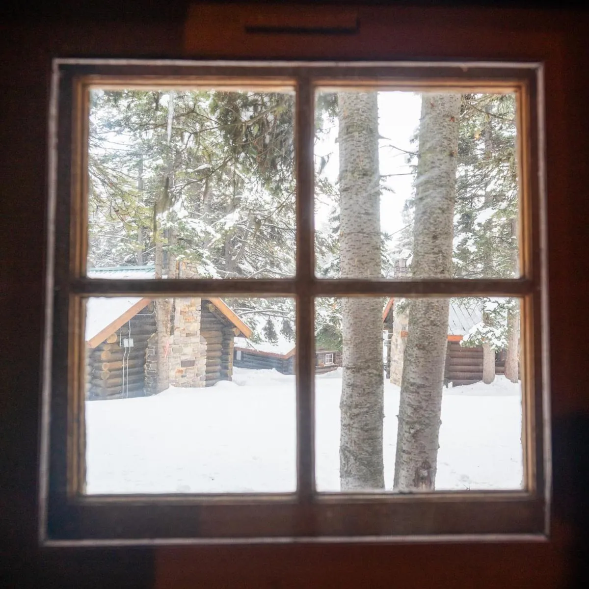 View (from property/room) in Storm Mountain Lodge & Cabins