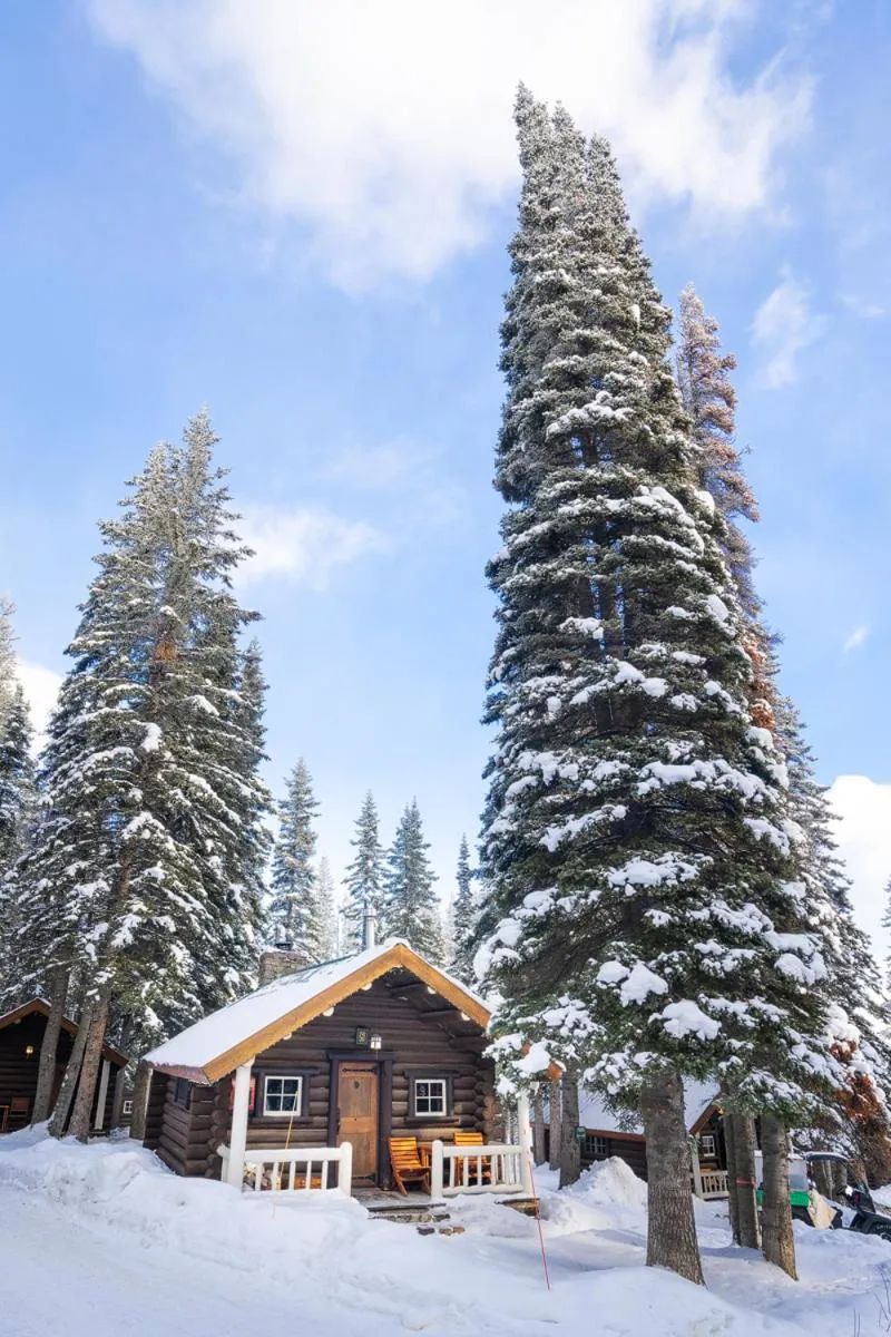 Property building in Storm Mountain Lodge & Cabins