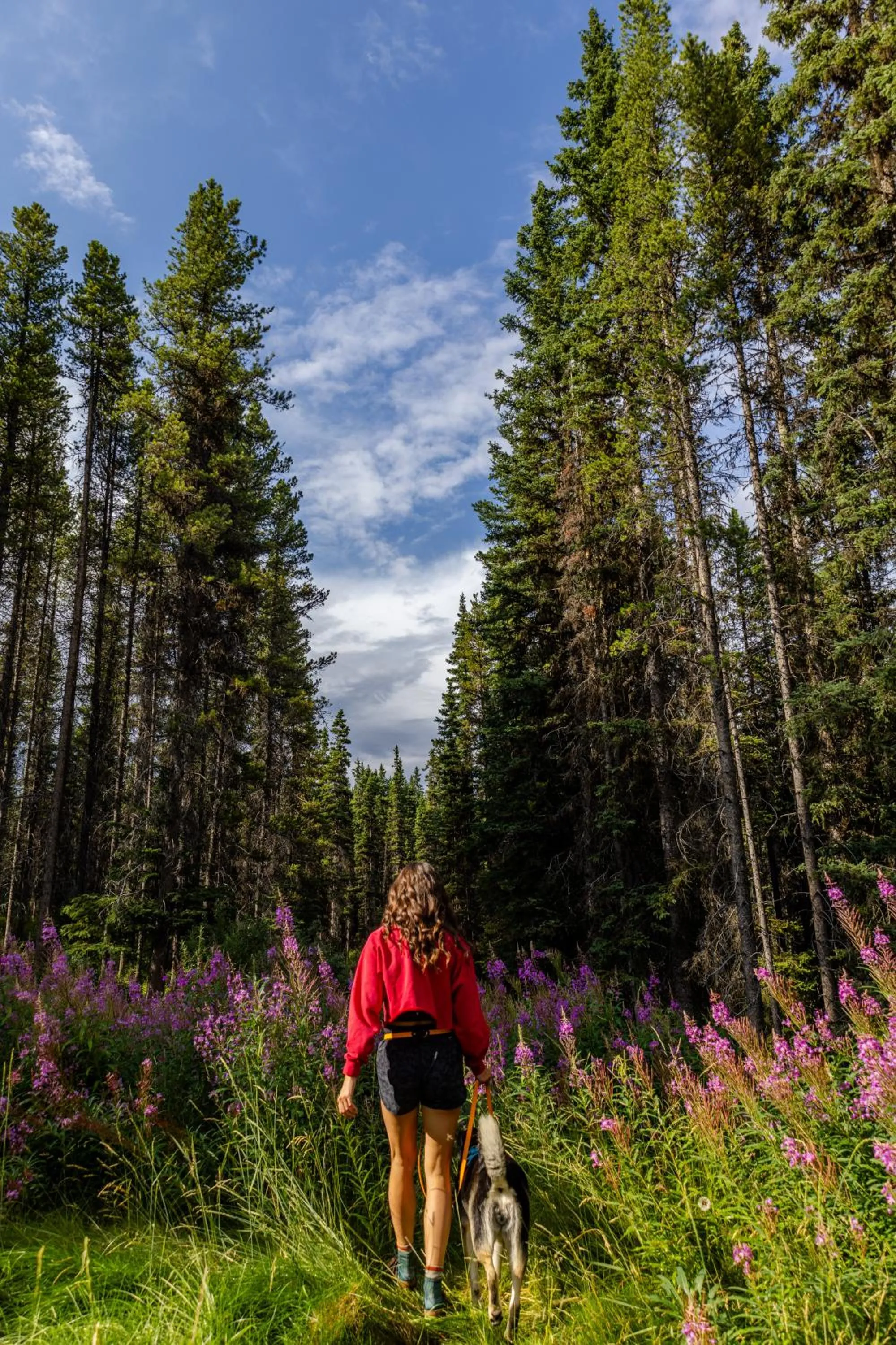 Hiking in Storm Mountain Lodge & Cabins