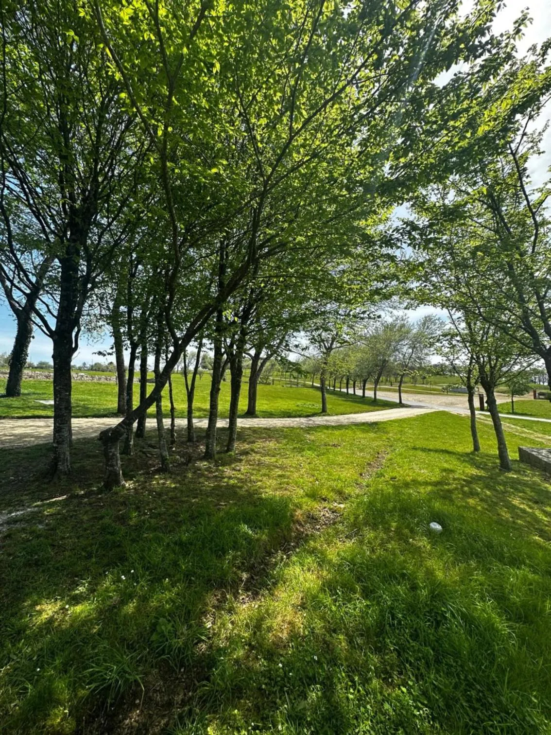 Natural landscape in Albergue Monte Do Gozo