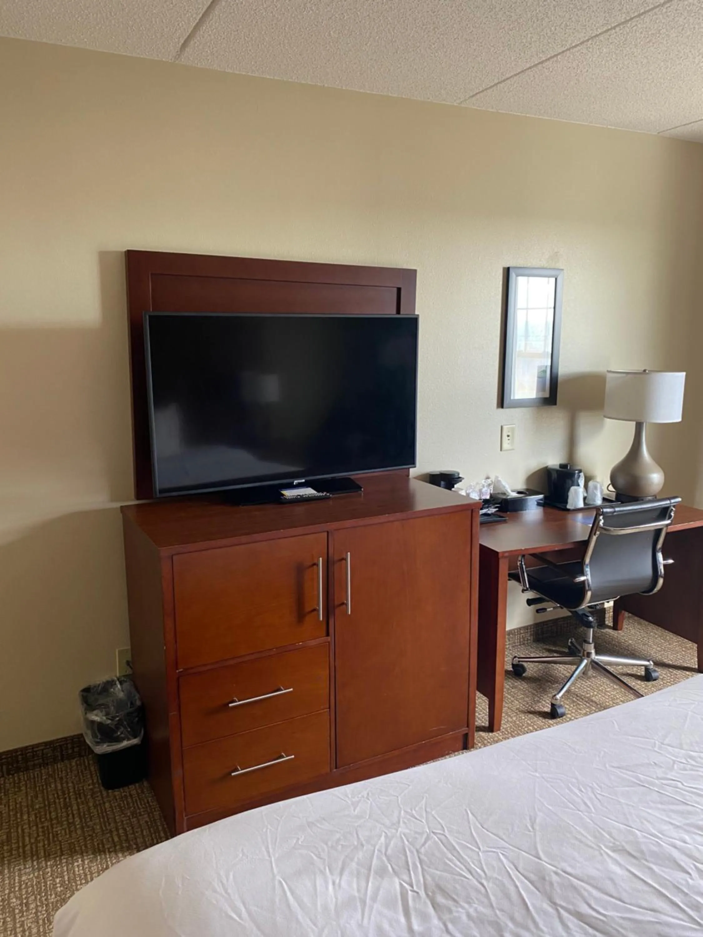 TV and multimedia in Comfort Inn & Suites Cordele