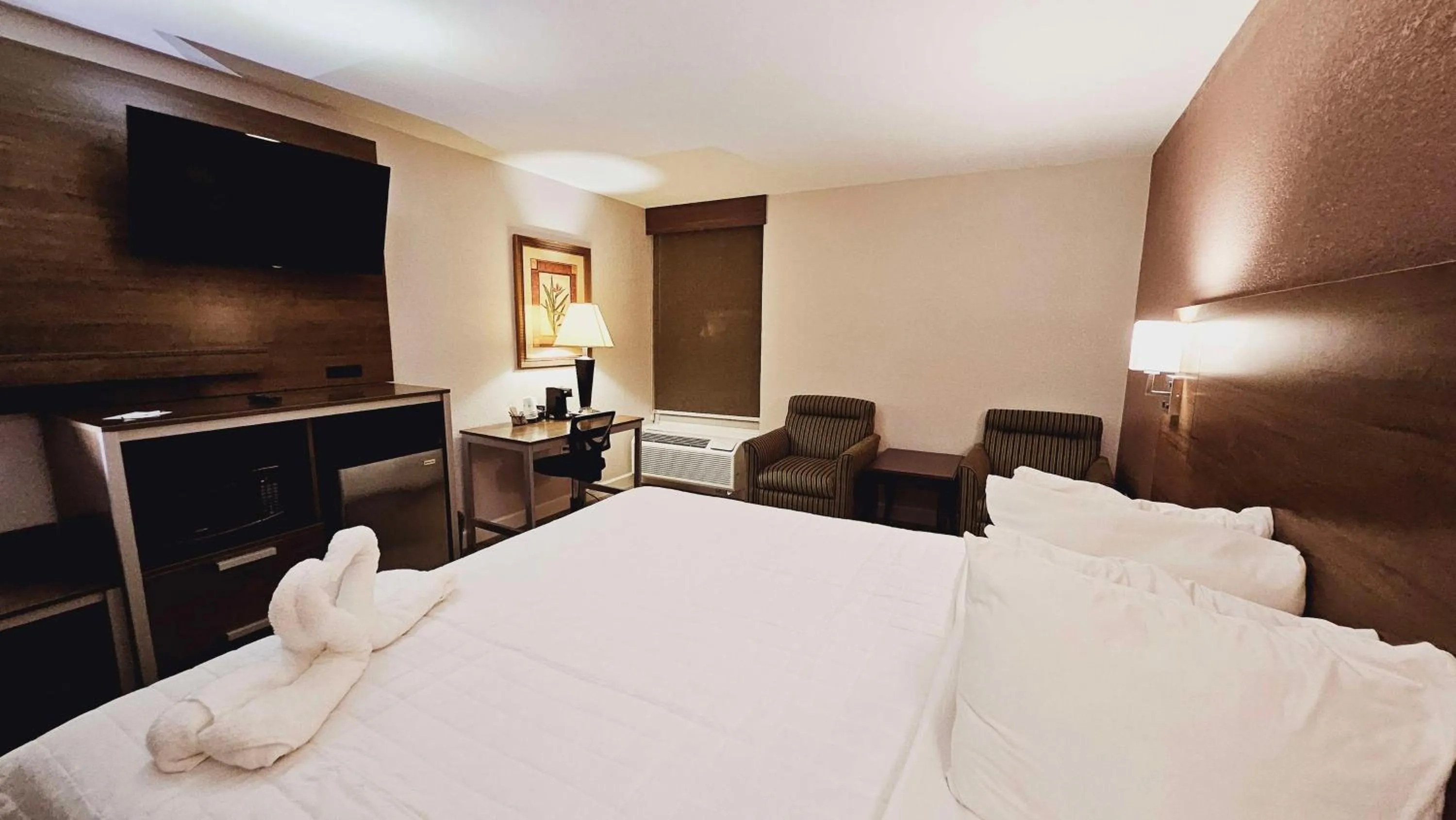 Bedroom, Bed in Best Western Hopkinsville KY - BRAND NEW ROOMS