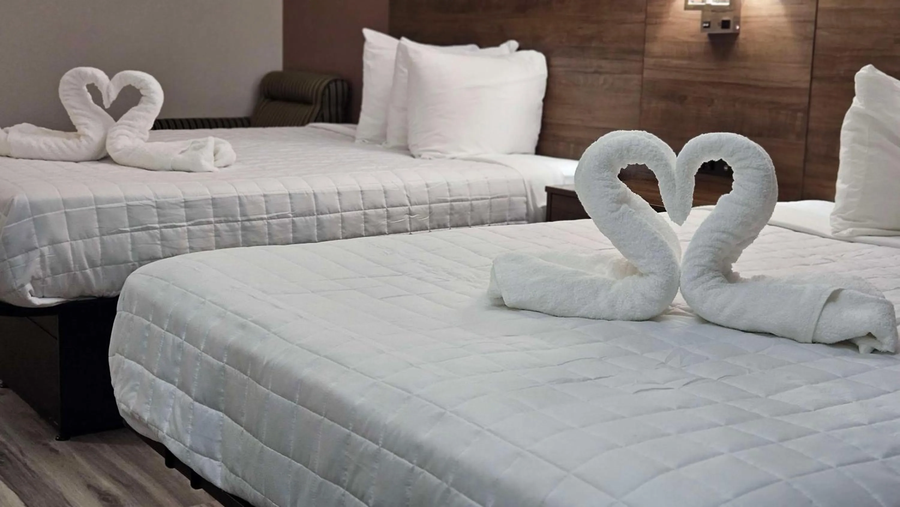 Bedroom, Bed in Best Western Hopkinsville KY - BRAND NEW ROOMS