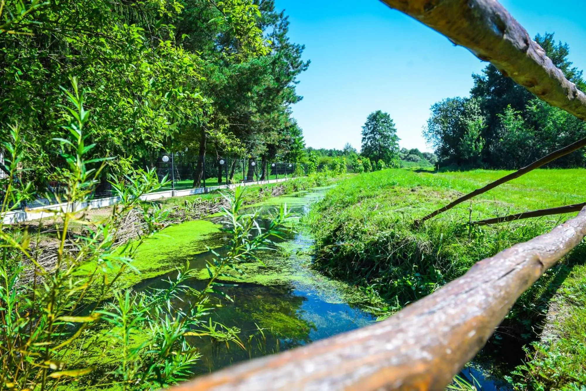 Garden view in Willa Boconek - Zator Przeciszów