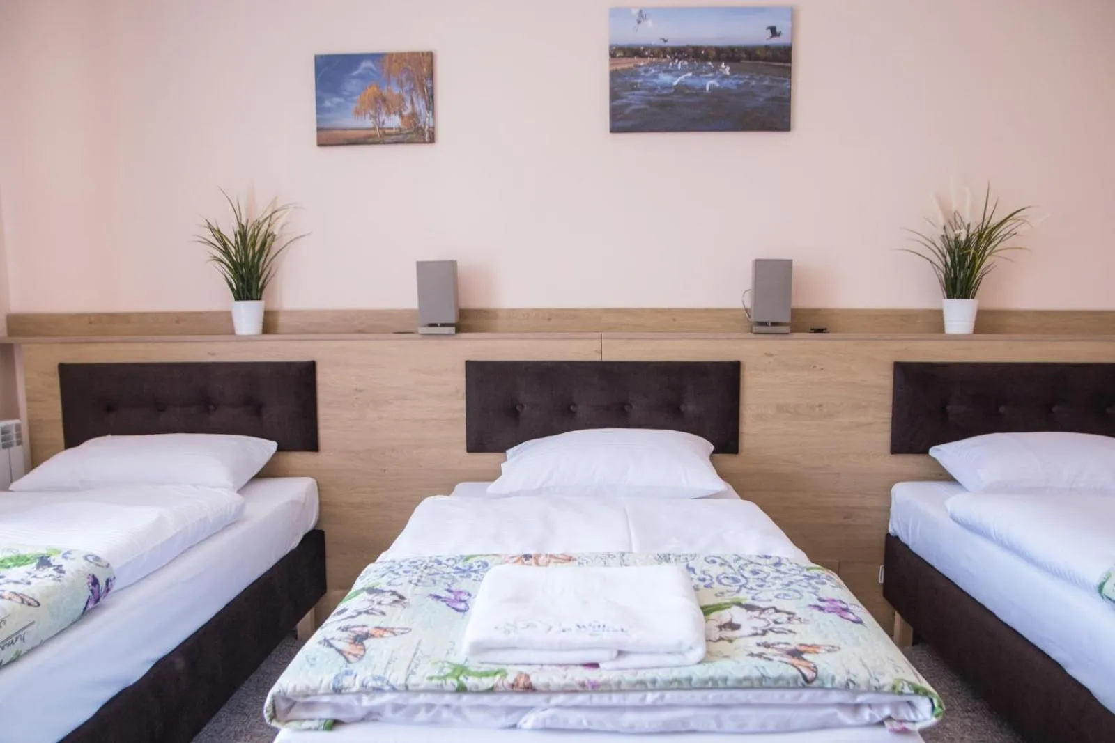 Bed in Willa Boconek - Zator Przeciszów