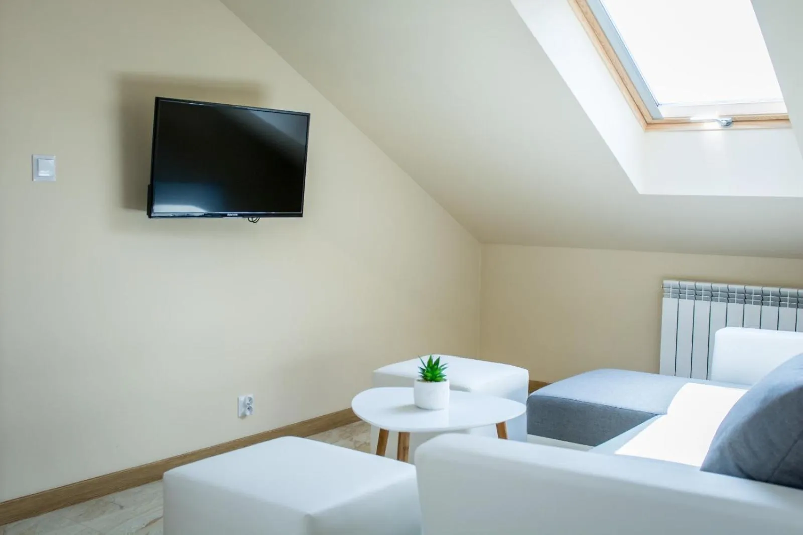 TV and multimedia in Willa Boconek - Zator Przeciszów