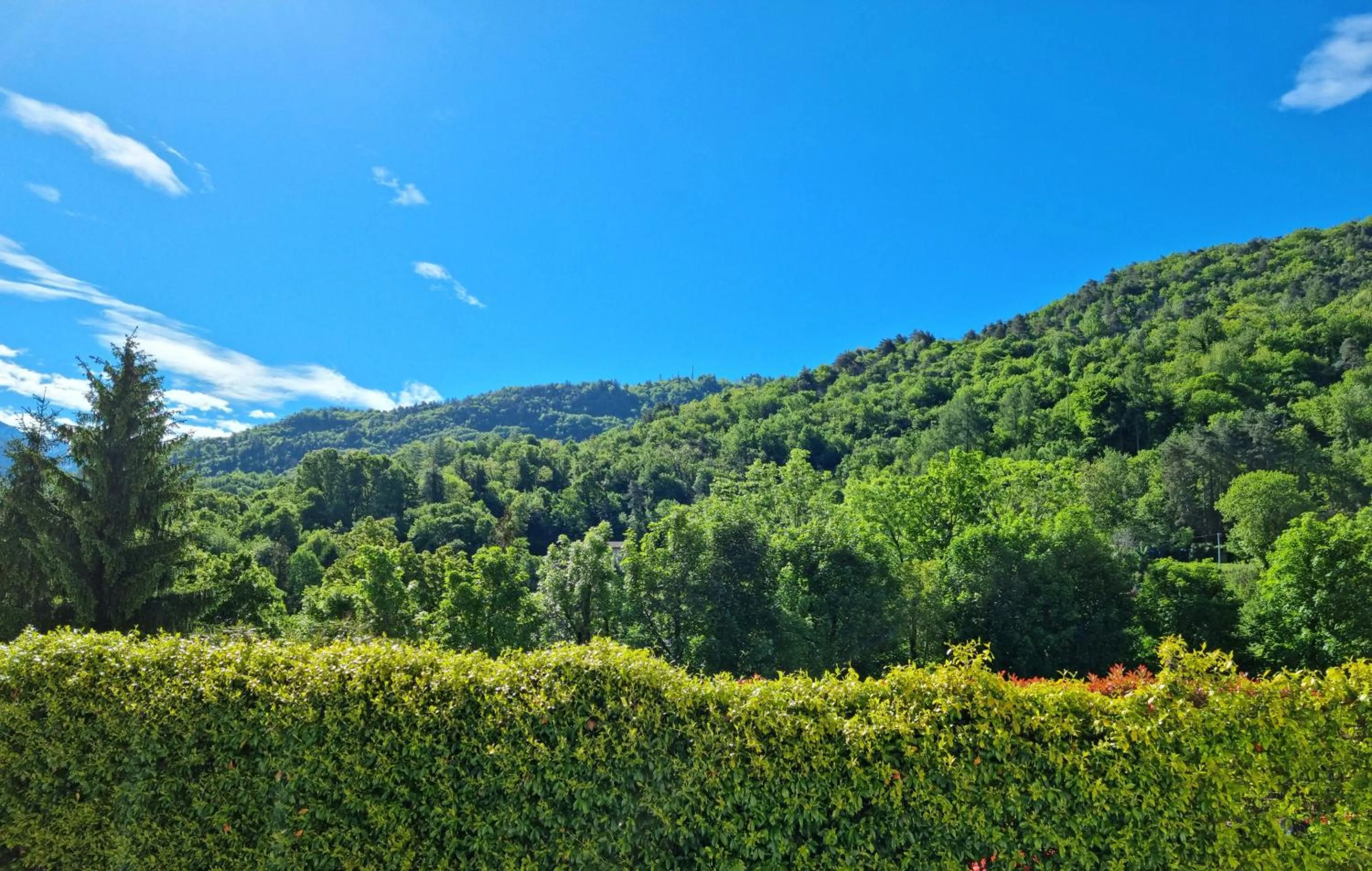 Natural landscape in B&B I LAKE IT BELLAGIO