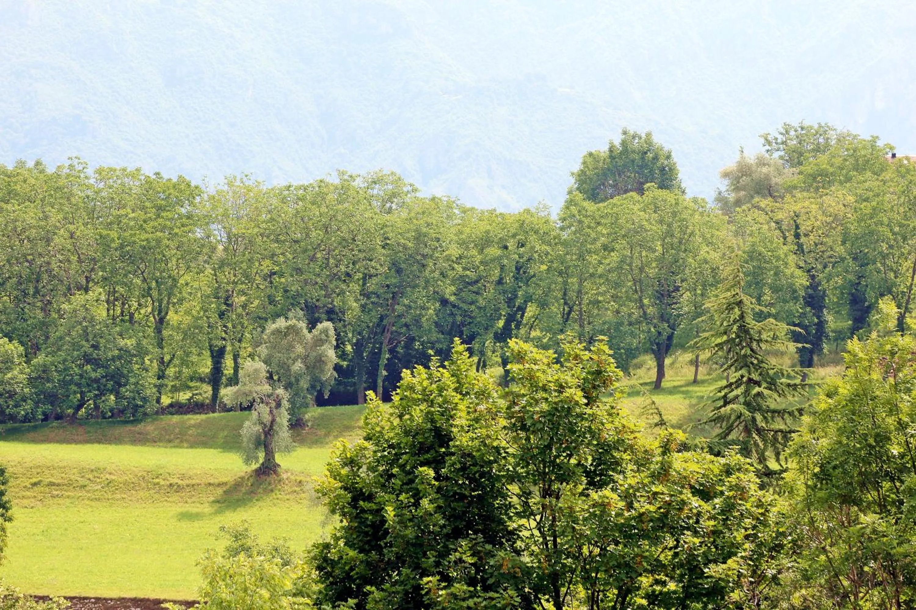 Natural landscape in B&B I LAKE IT BELLAGIO