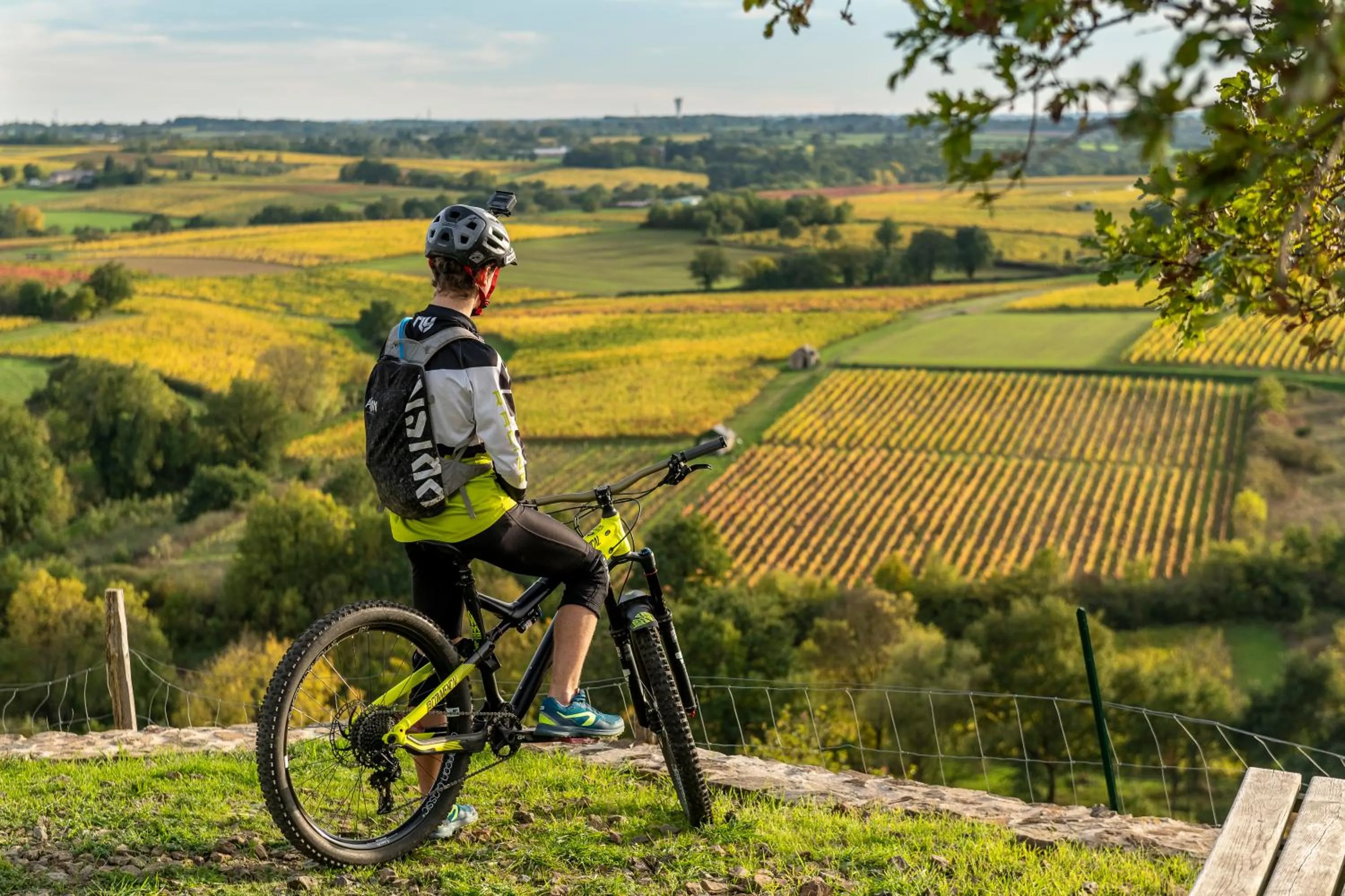Day in Les Jardins de l'Anjou