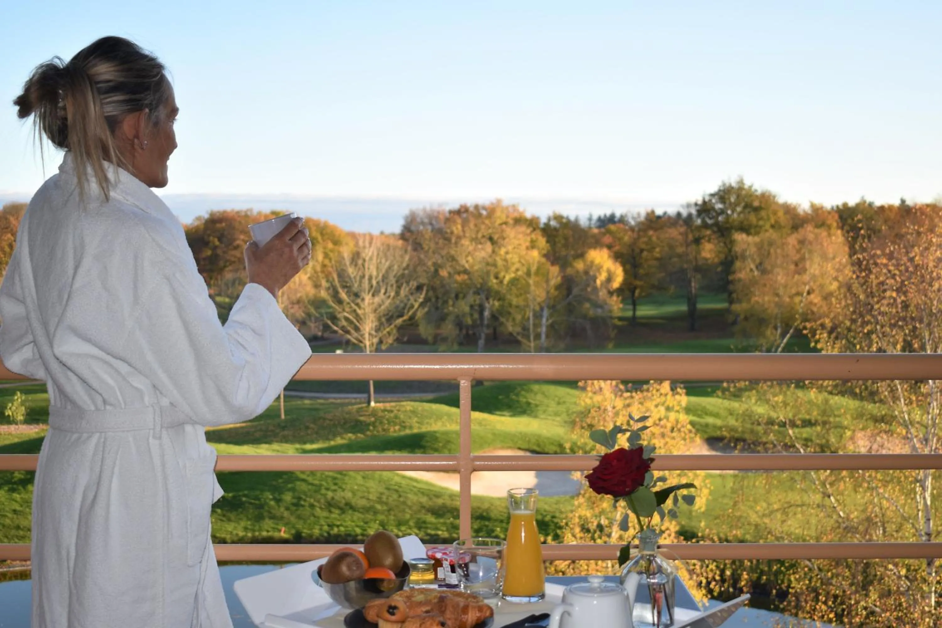 View (from property/room) in Mercure Orléans Portes de Sologne