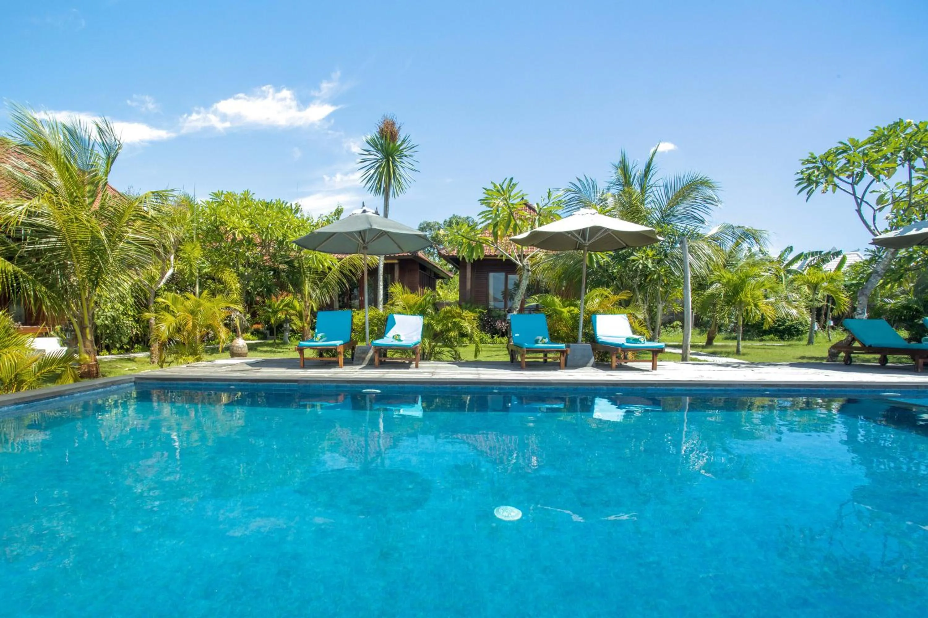 Swimming pool in D'Muncuk Huts Lembongan