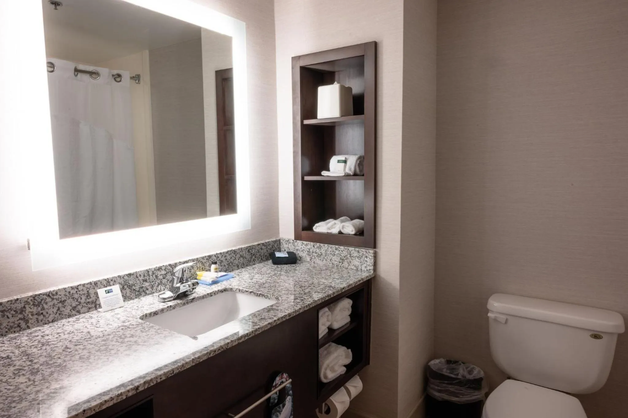 Bathroom in Holiday Inn Express & Suites - Tuscaloosa-University by IHG