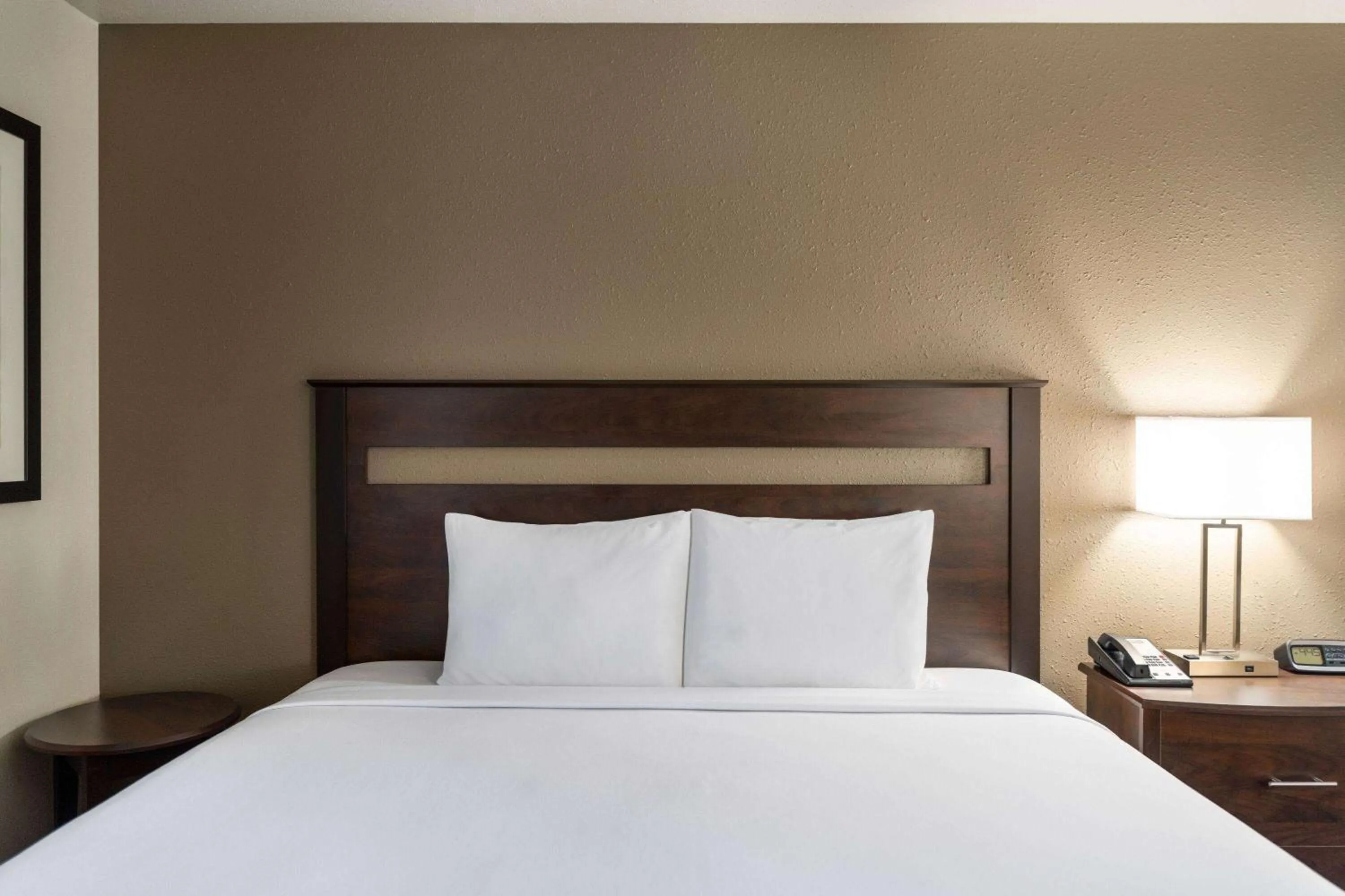 Photo of the whole room, Bed in Travelodge by Wyndham Dexter