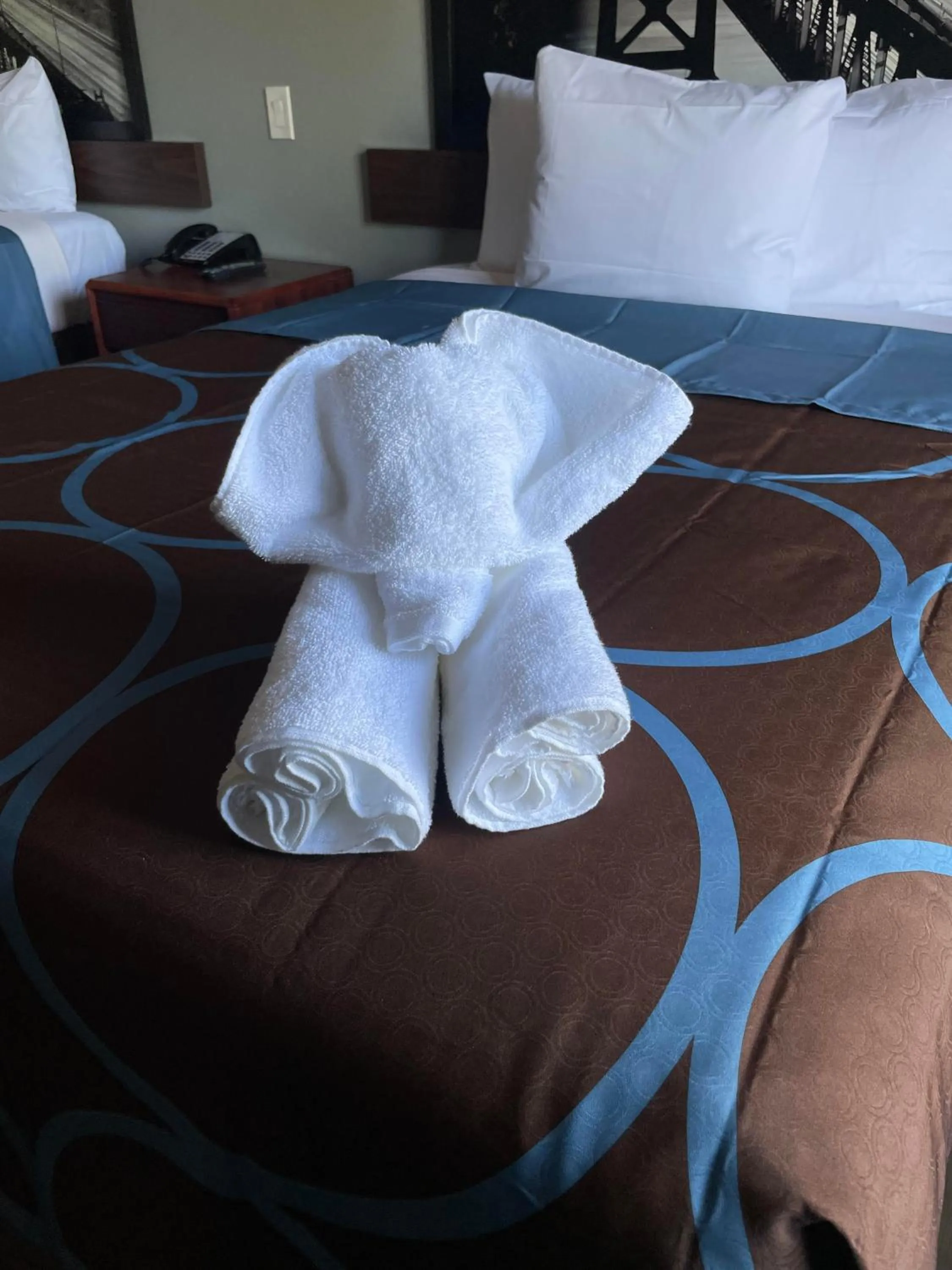 Bed in Super 8 by Wyndham Barstow