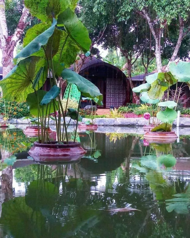 Property building in Con Khuong Resort Can Tho