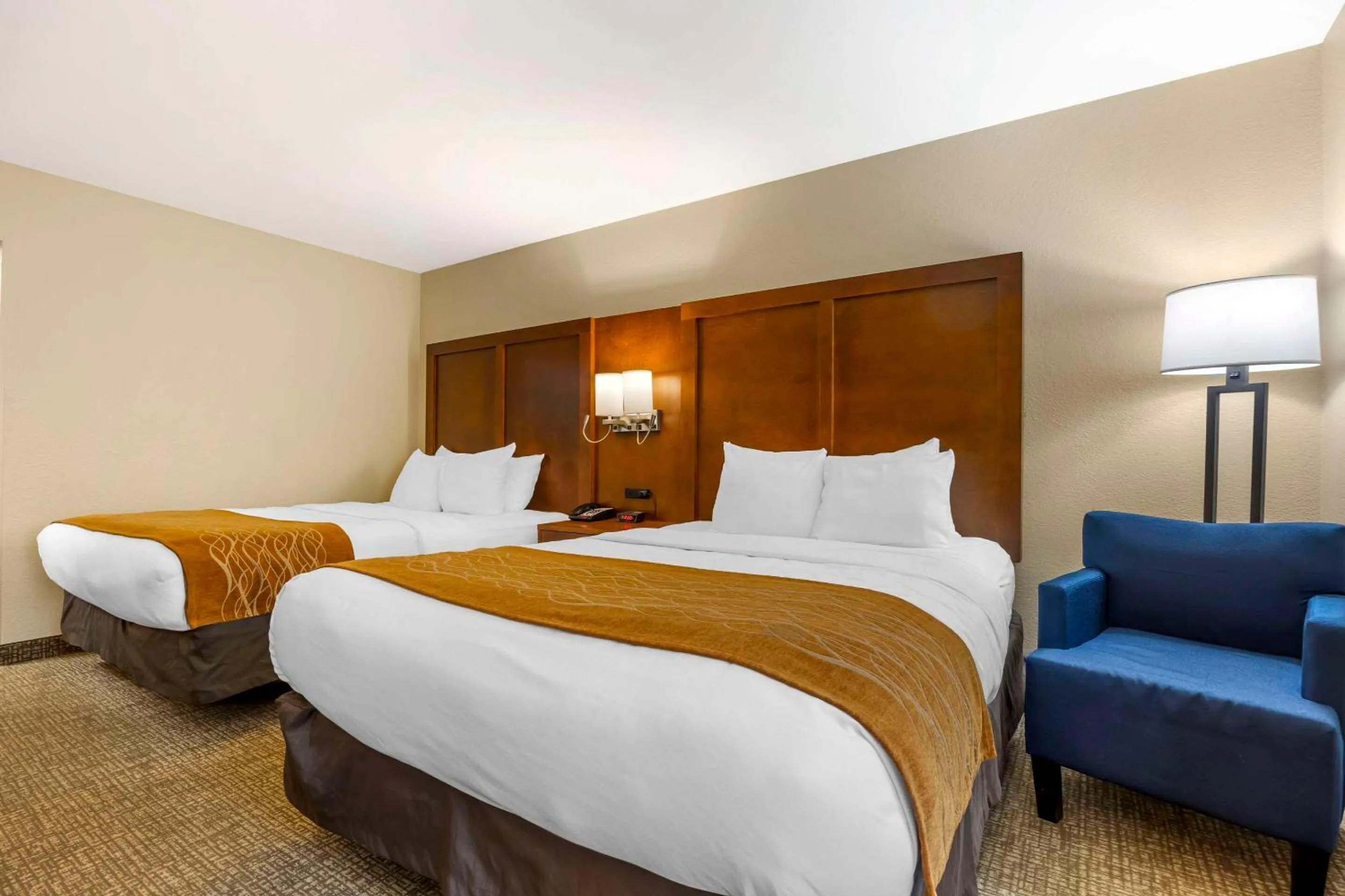 Bedroom, Bed in Comfort Inn South - Springfield