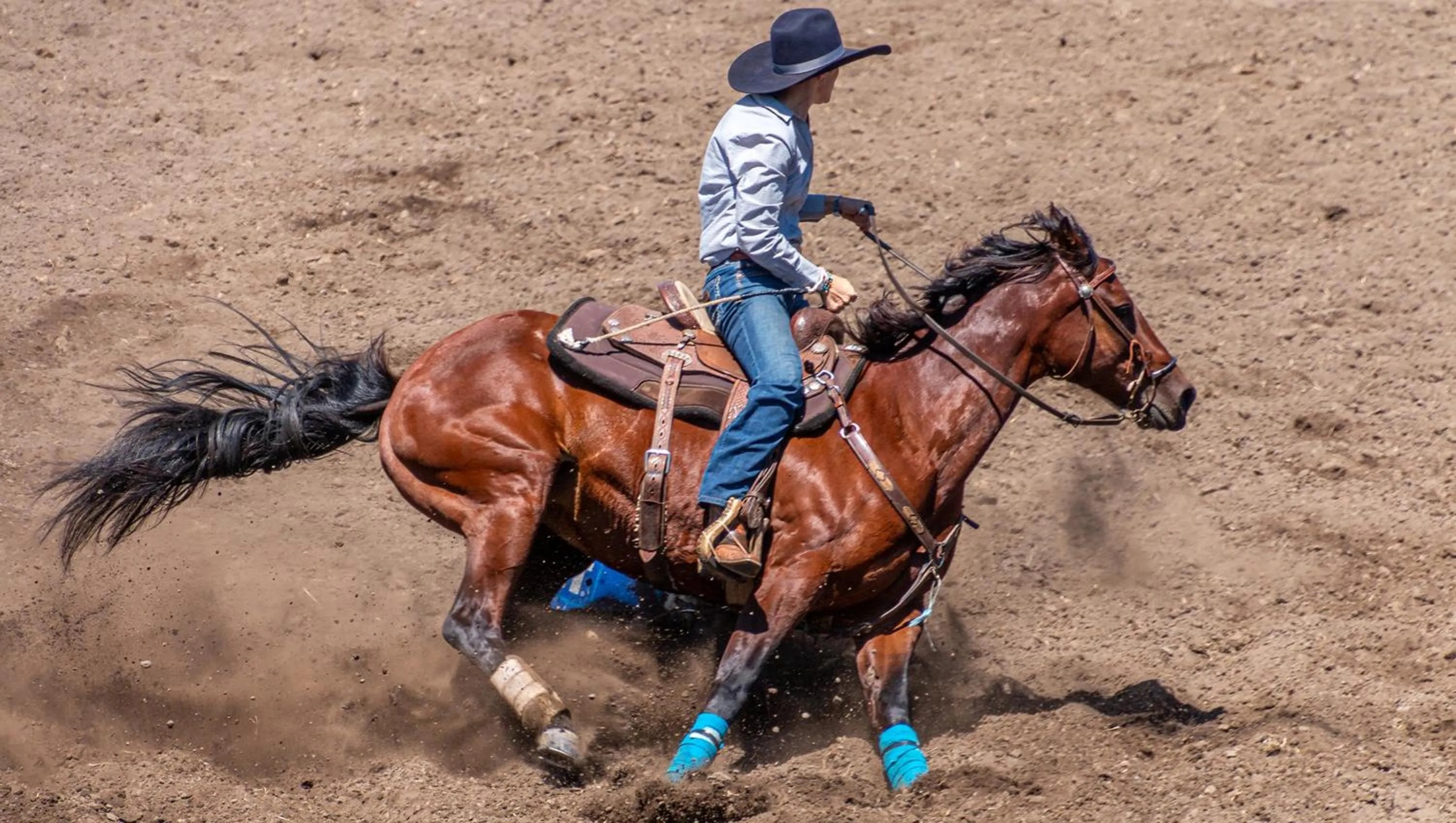 Nearby landmark in Mayfair Inn
