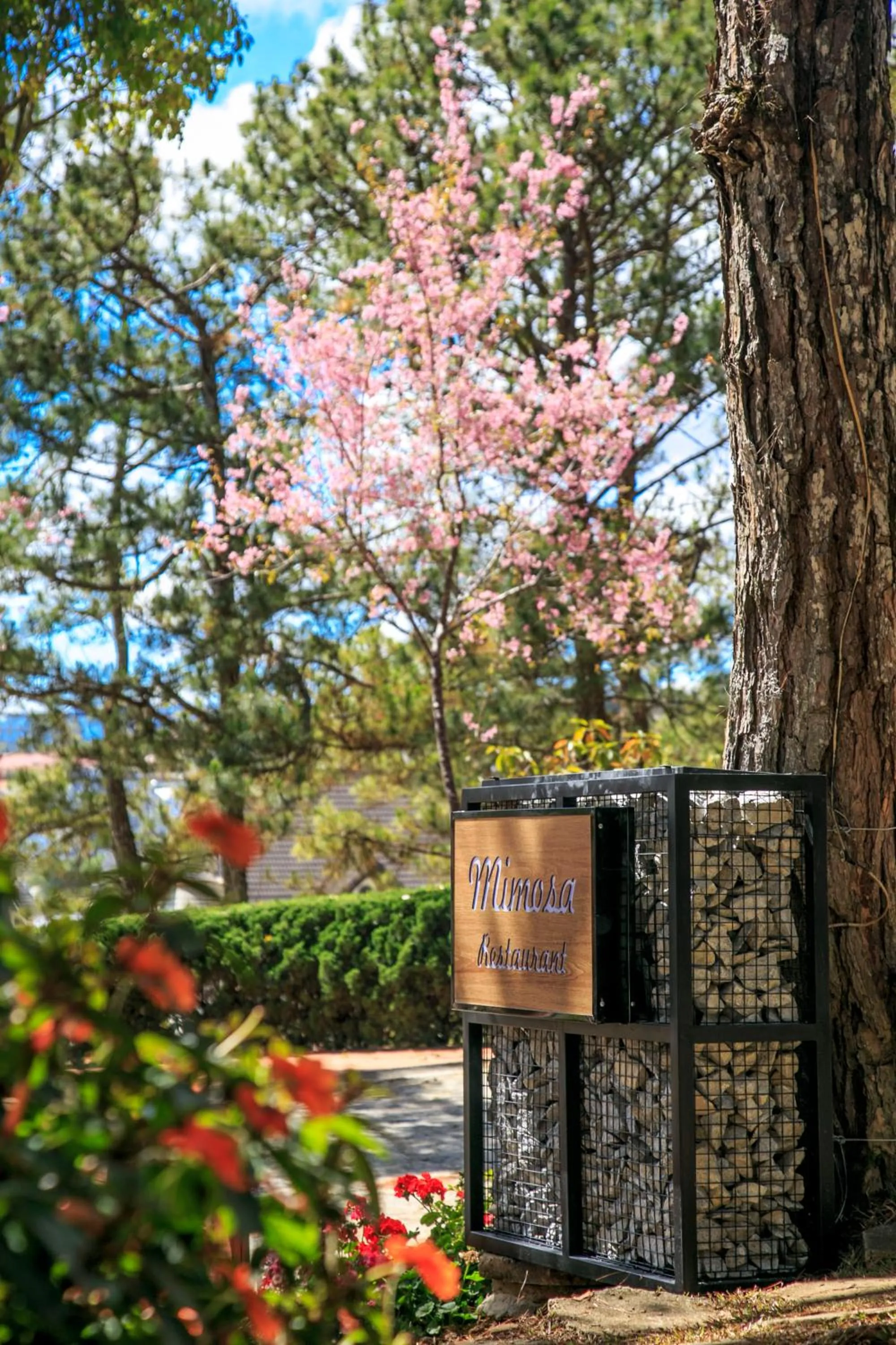 Restaurant/places to eat in TTC Dreamy Hill Resort - Unlimited Access to TTC World - Thung Lung Tinh Yeu