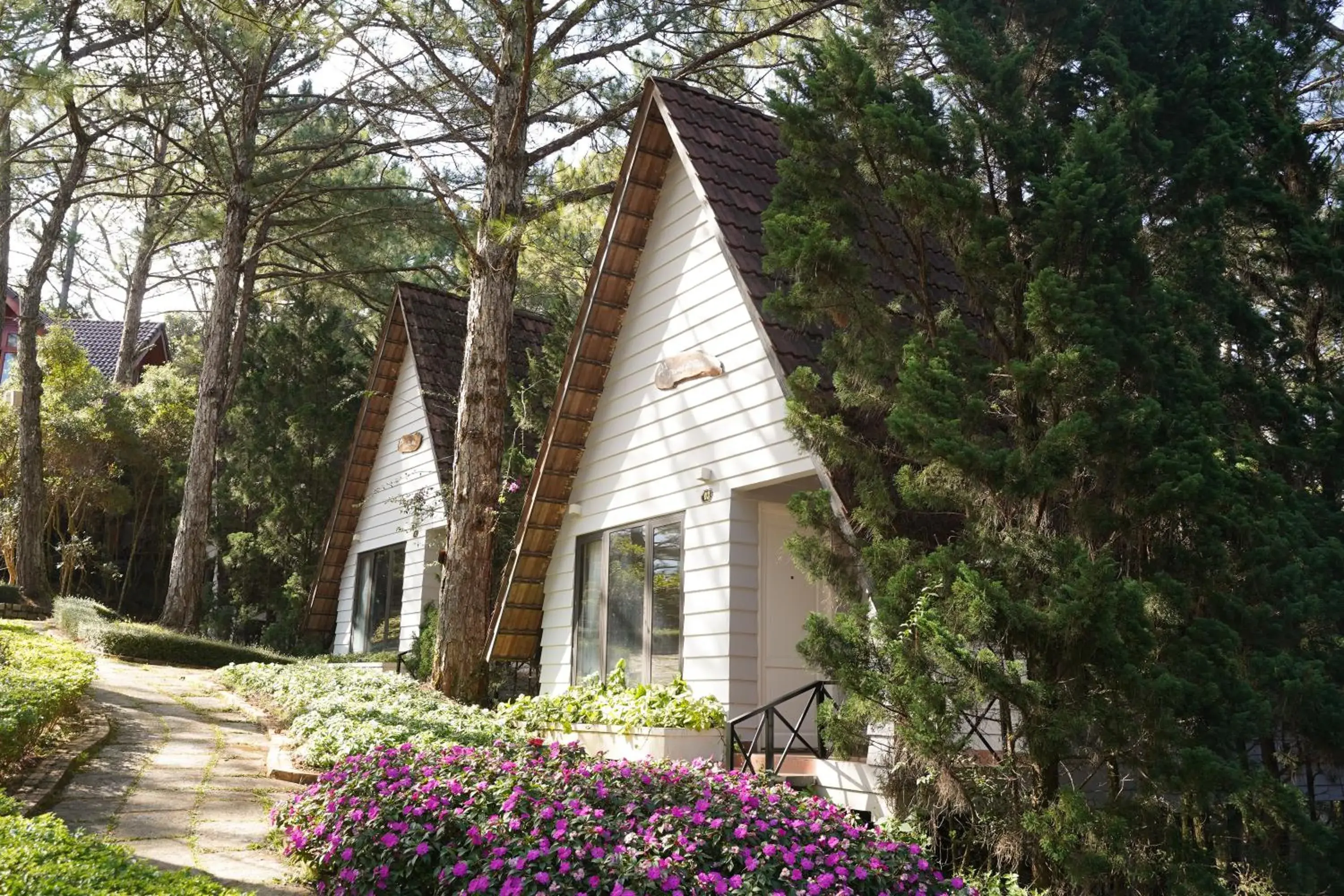 TTC Dreamy Hill Resort - Unlimited Access to TTC World - Thung Lung Tinh Yeu TTC Dreamy Hill Resort - Unlimited Access to TTC World - Thung Lung Tinh Yeu