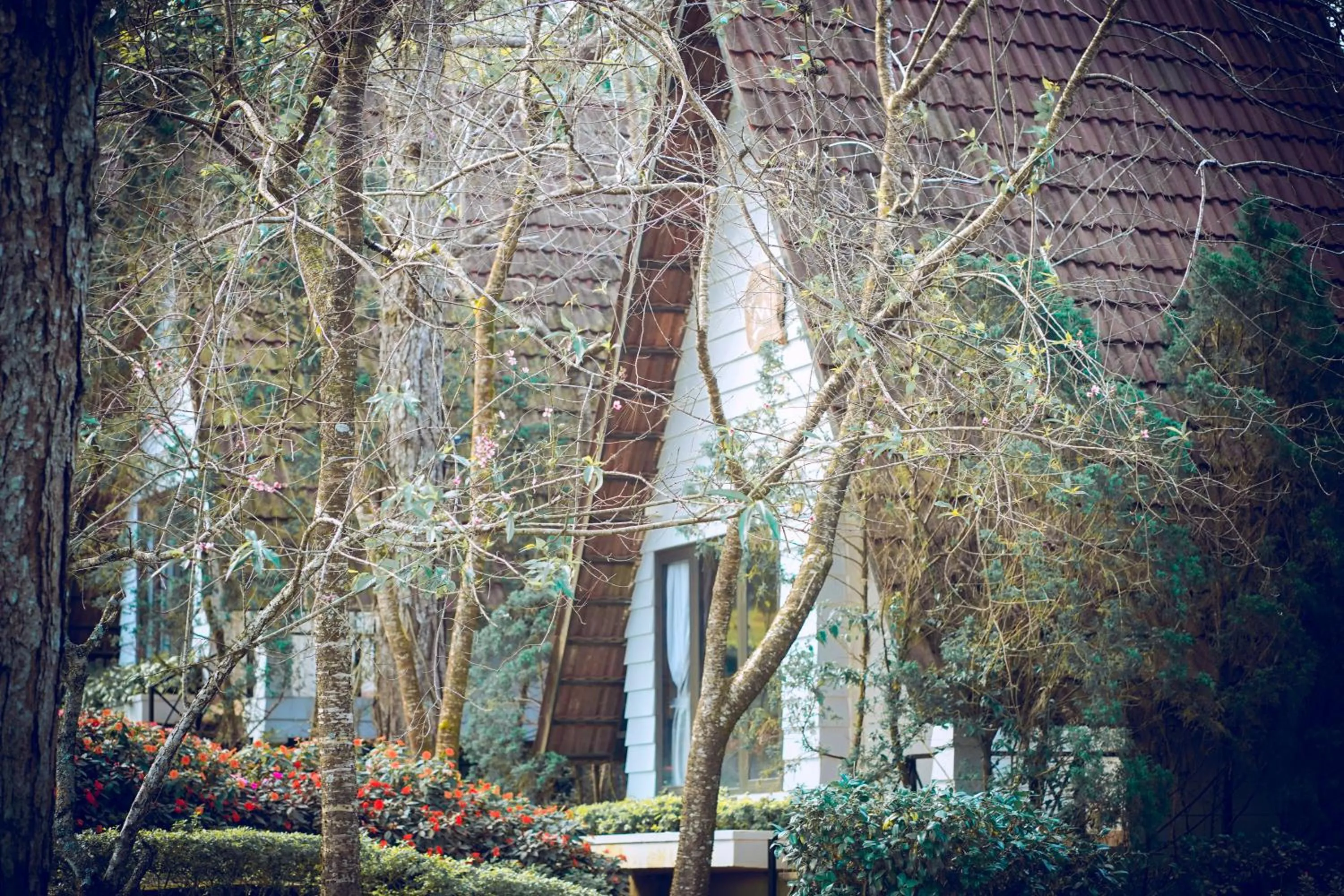 Garden view in TTC Dreamy Hill Resort - Unlimited Access to TTC World - Thung Lung Tinh Yeu