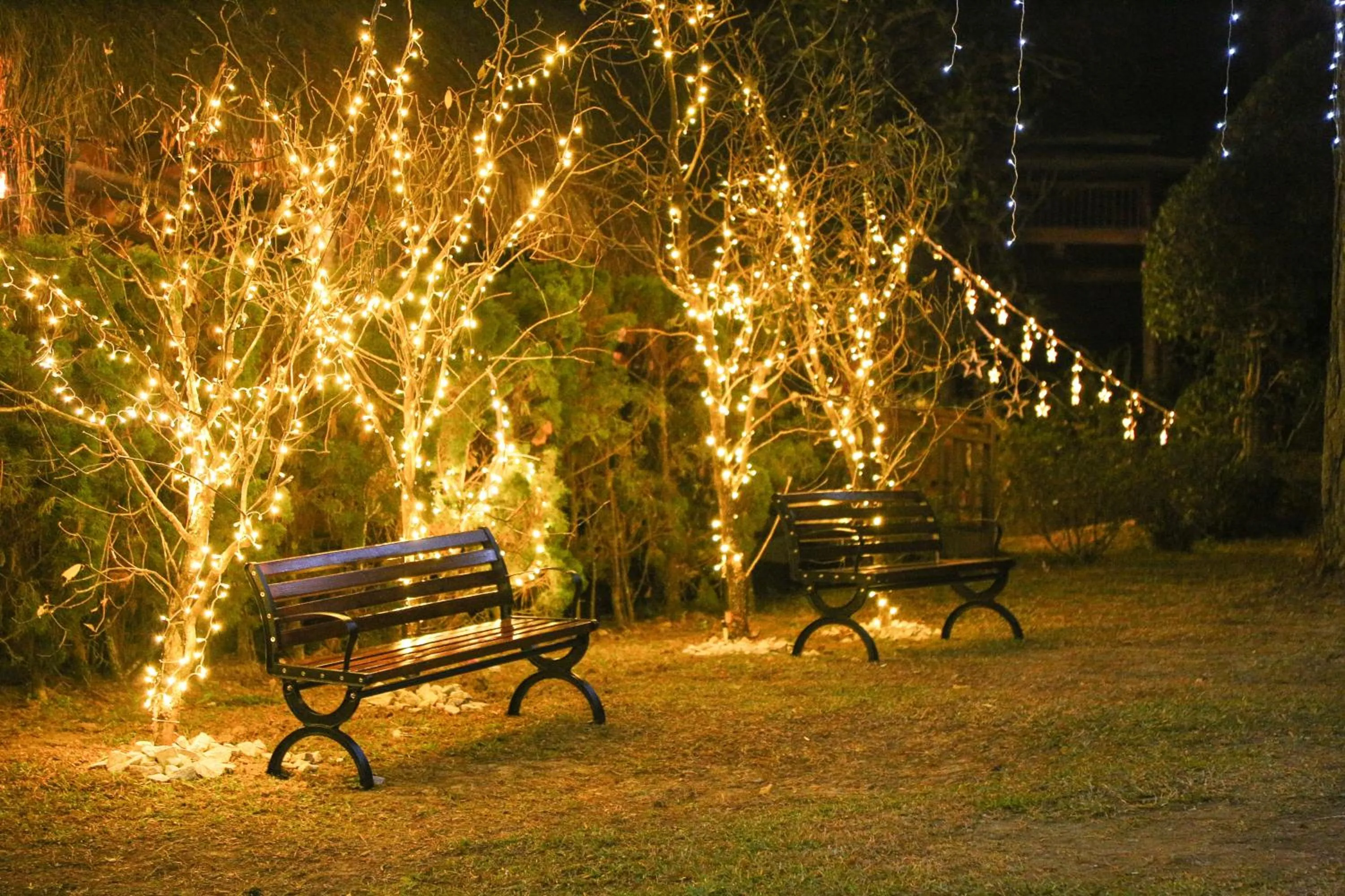 Property building in TTC Dreamy Hill Resort - Unlimited Access to TTC World - Thung Lung Tinh Yeu