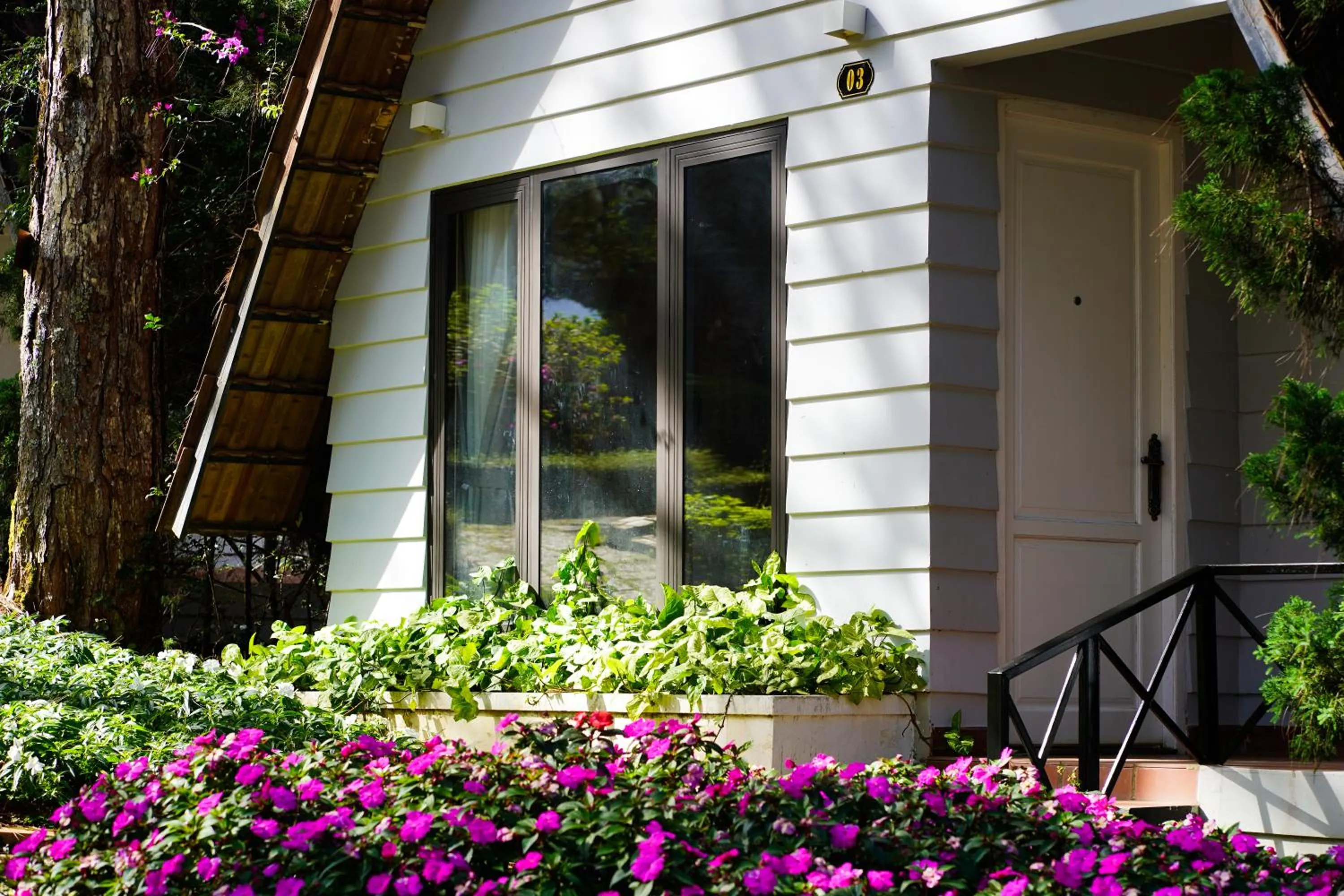 TTC Dreamy Hill Resort - Unlimited Access to TTC World - Thung Lung Tinh Yeu