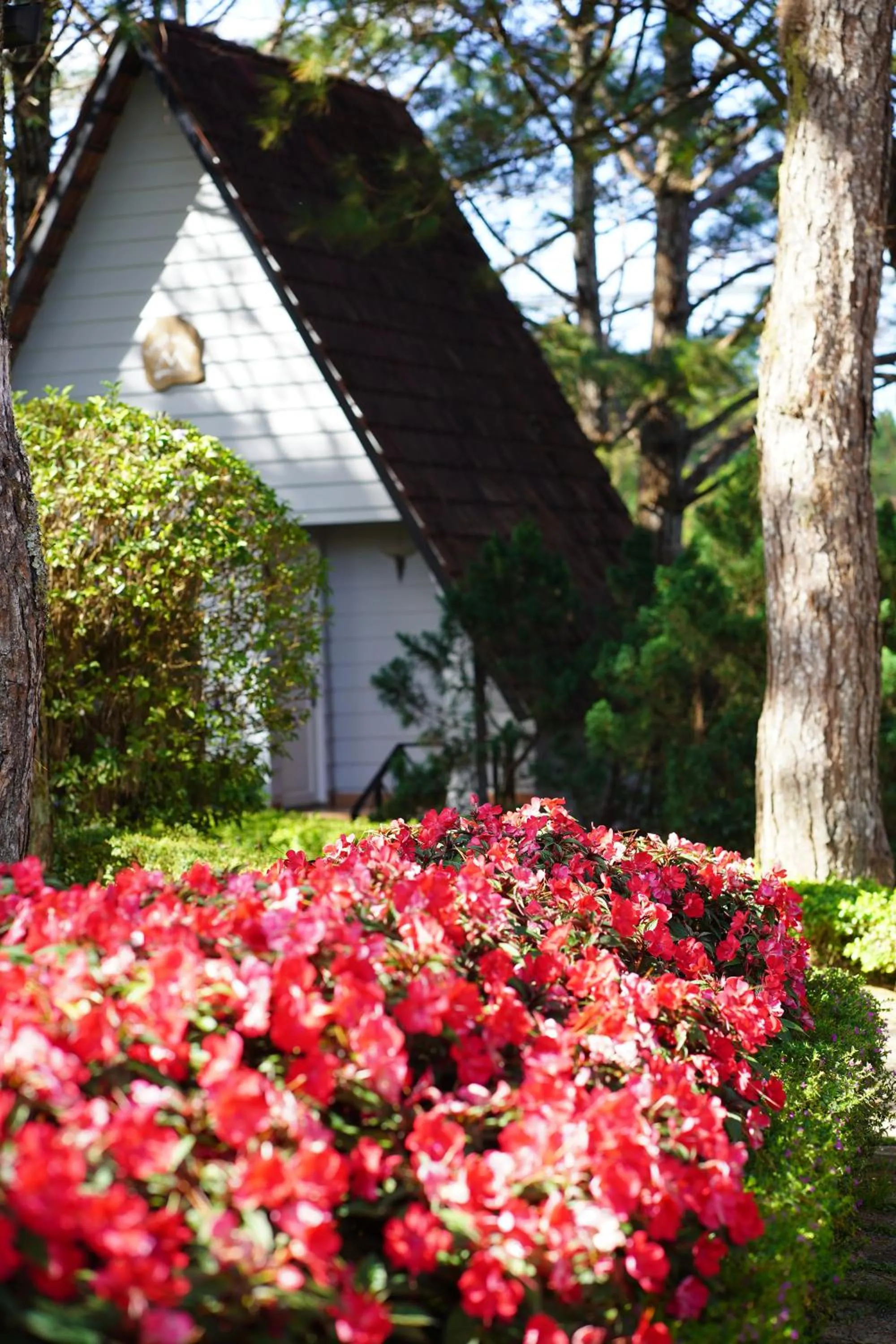 Spring in TTC Dreamy Hill Resort - Unlimited Access to TTC World - Thung Lung Tinh Yeu