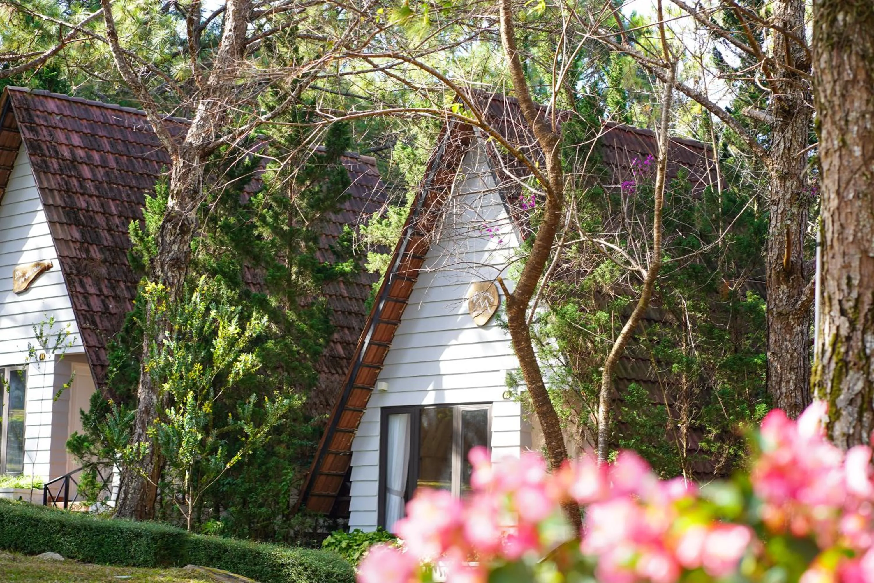 Property building in TTC Dreamy Hill Resort - Unlimited Access to TTC World - Thung Lung Tinh Yeu