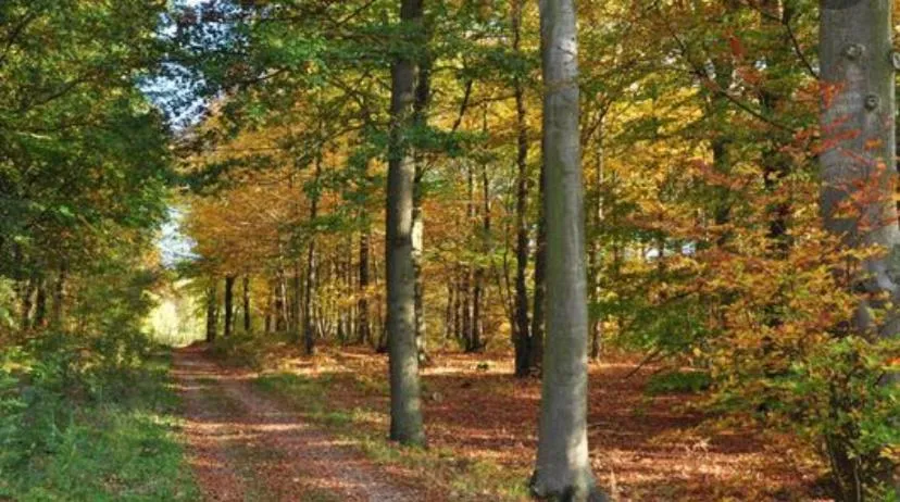 Sur la route des peintres