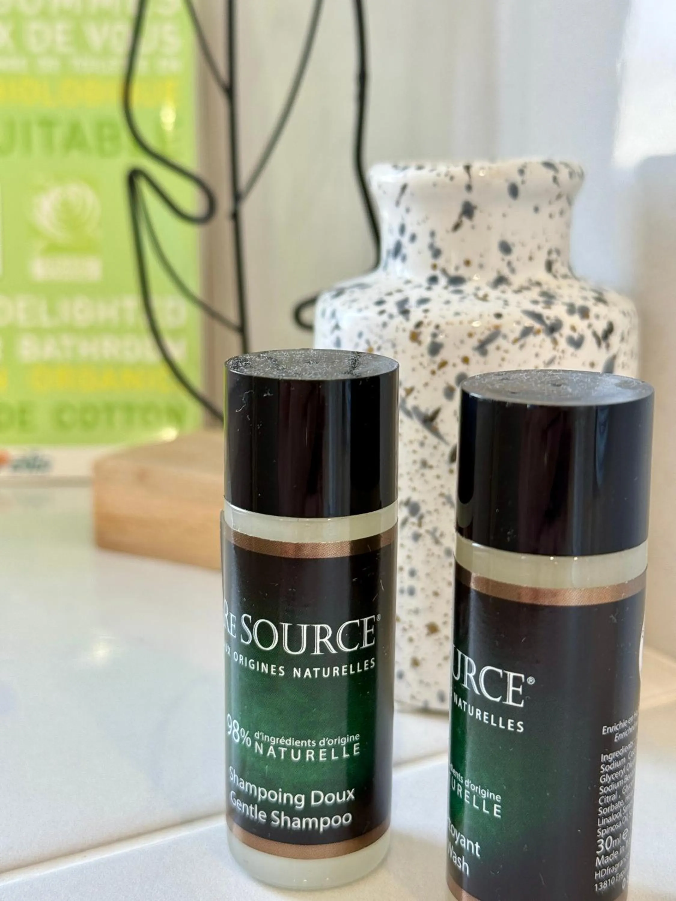 Shower in Chambres d'hôtes Grange Debout