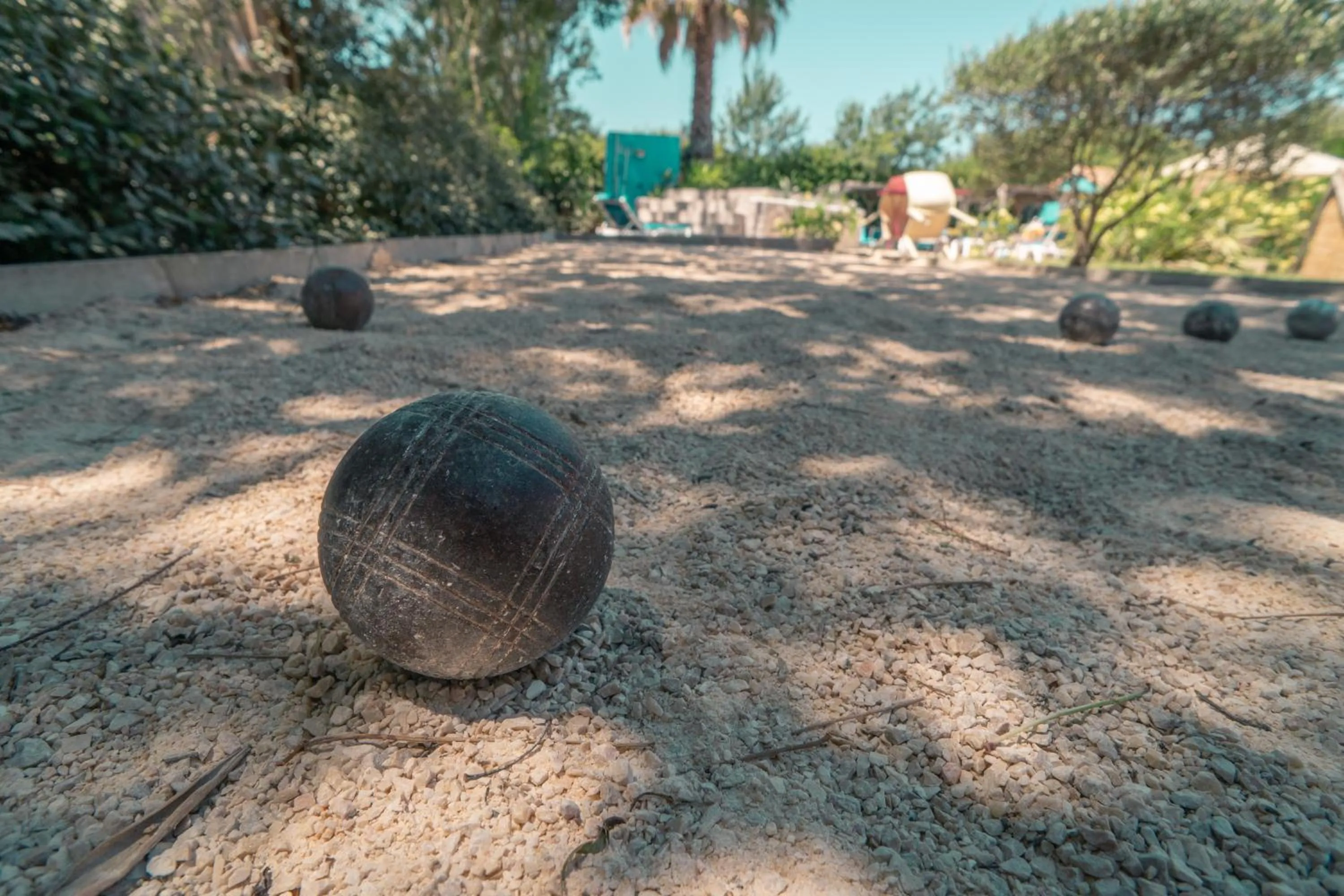 Garden in Le President-Gare Nimes Pont Du Gard
