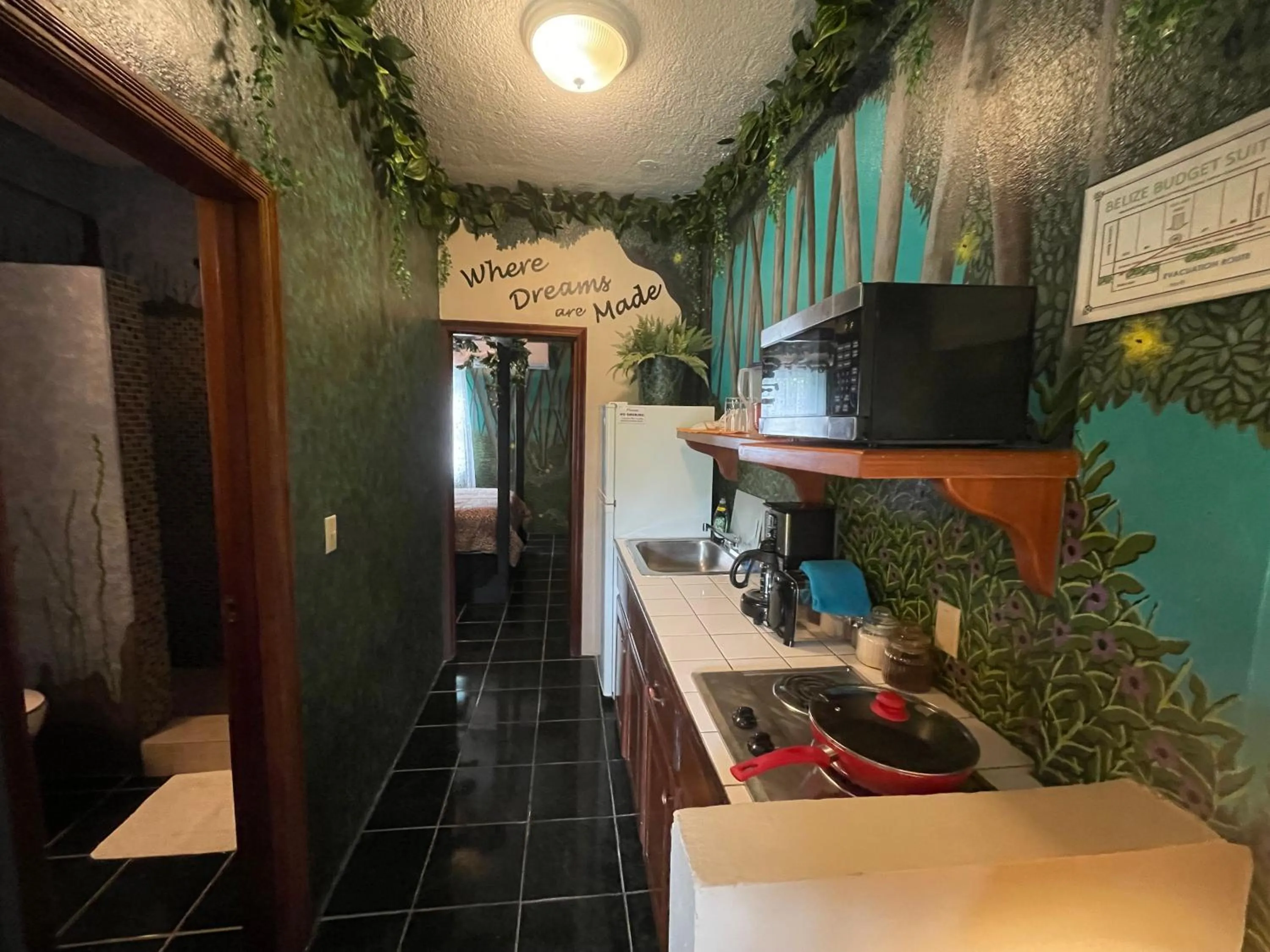Kitchen or kitchenette in Belize Budget Suites